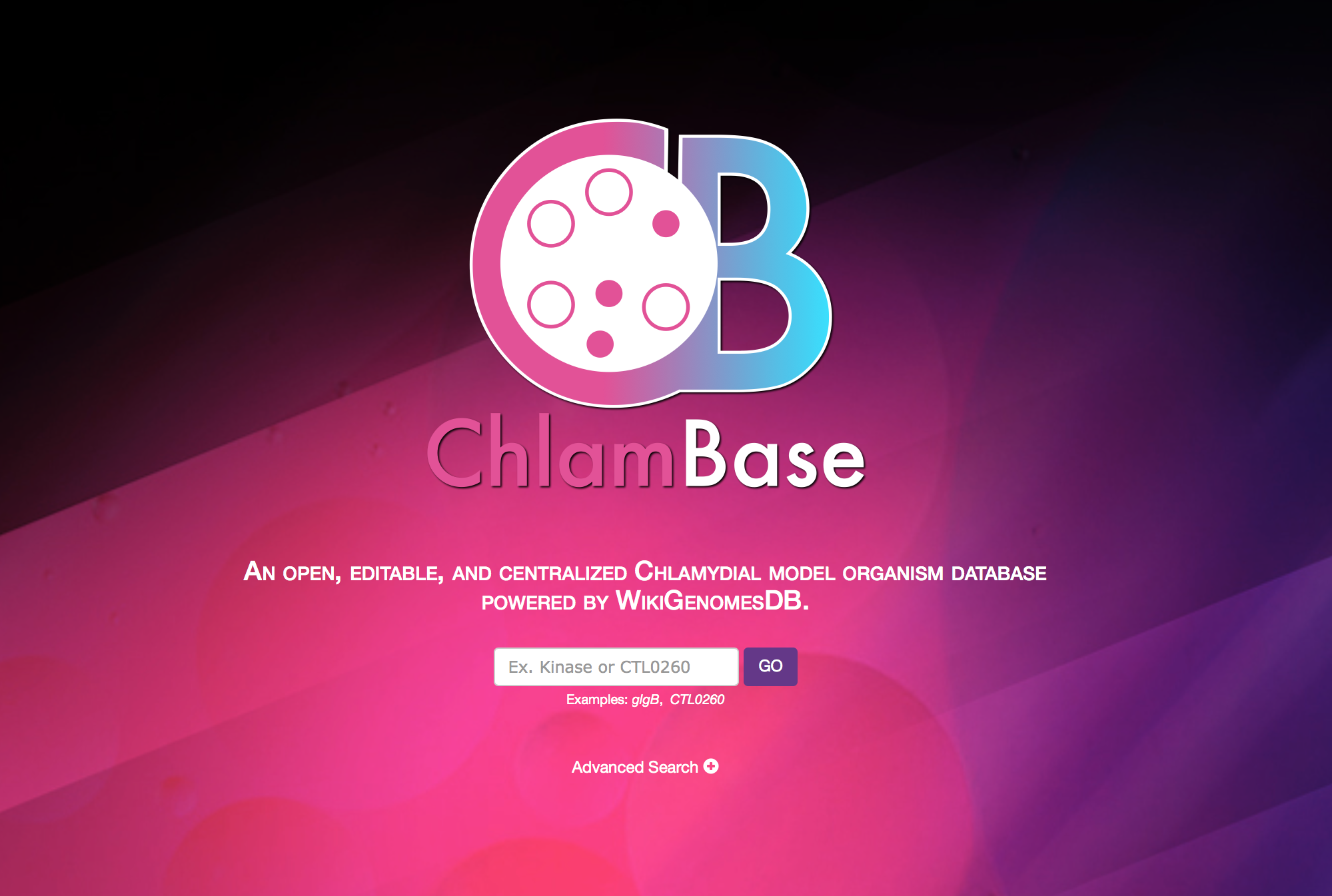 ChlamBase is an open database and encourages data contributions from the Chlamydia research community. Contribute today, and your updates will be instantly visible to the field!