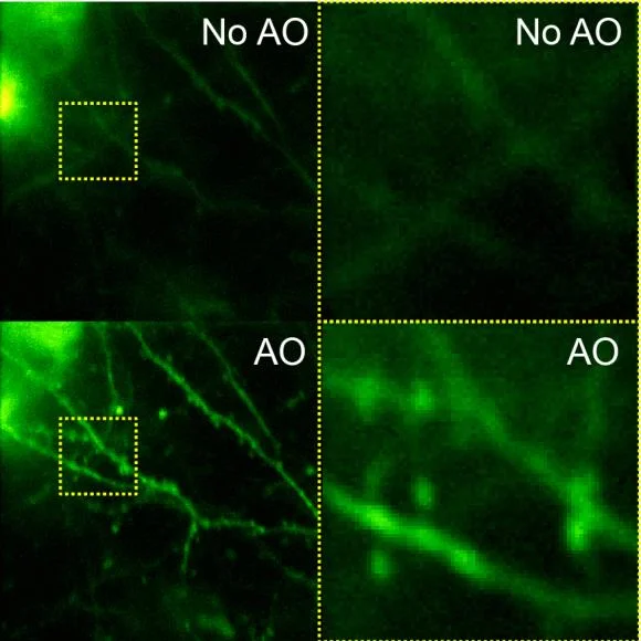 Research — Ji Lab
