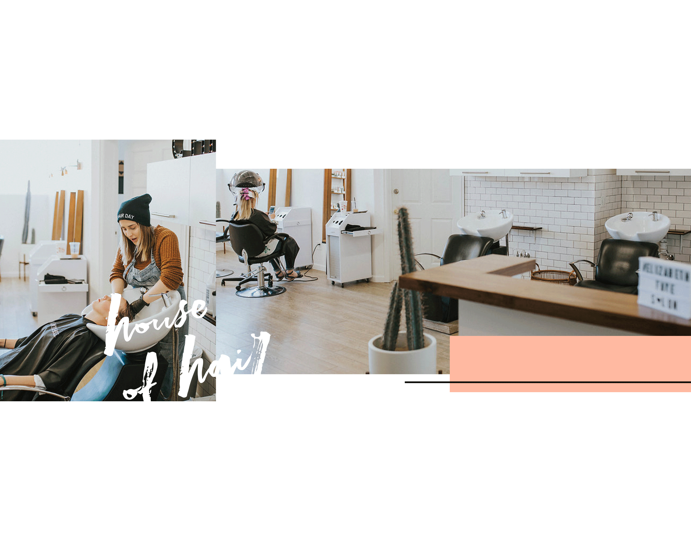 ef-banner-home-3.gif