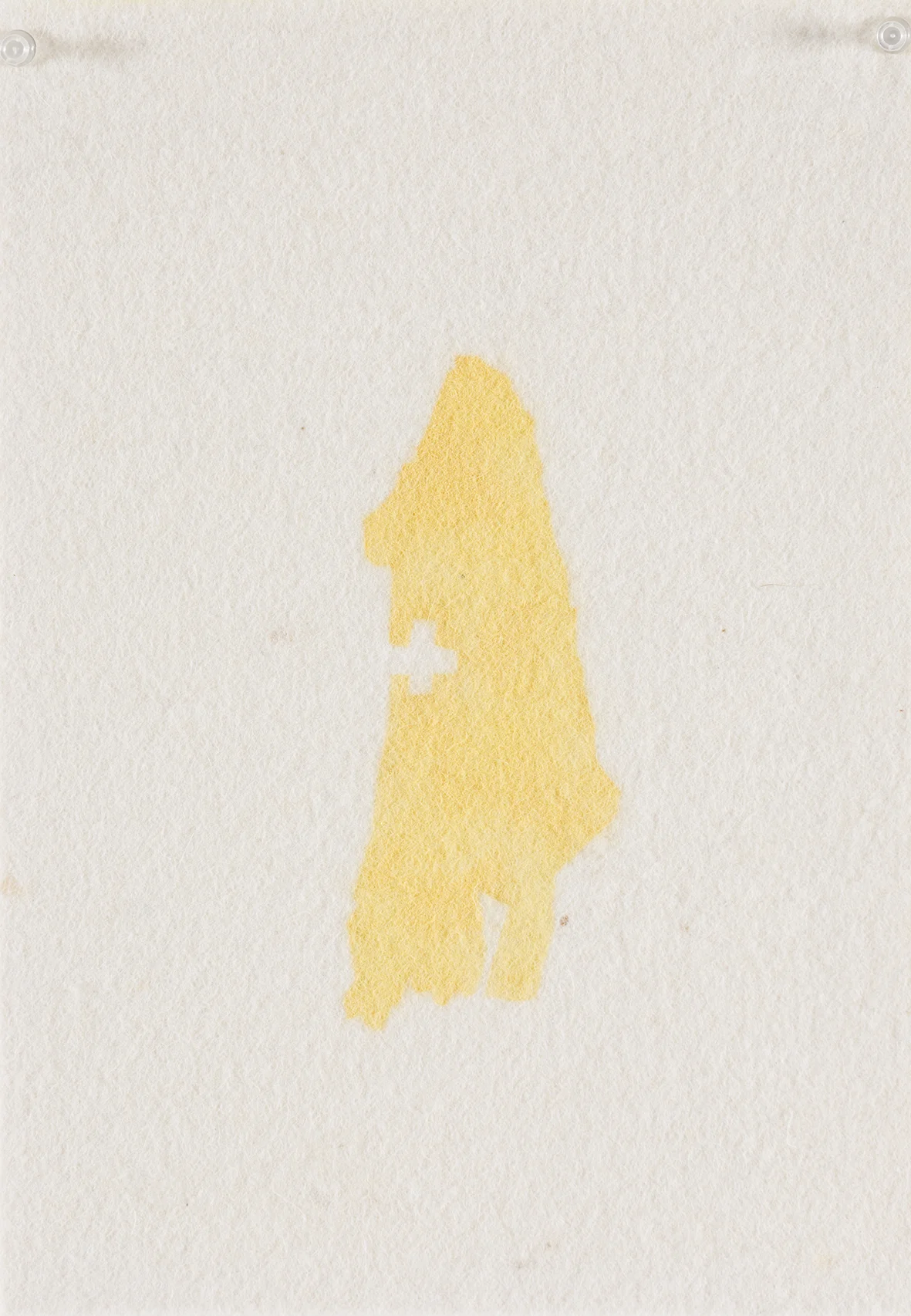 Coat (private collection)