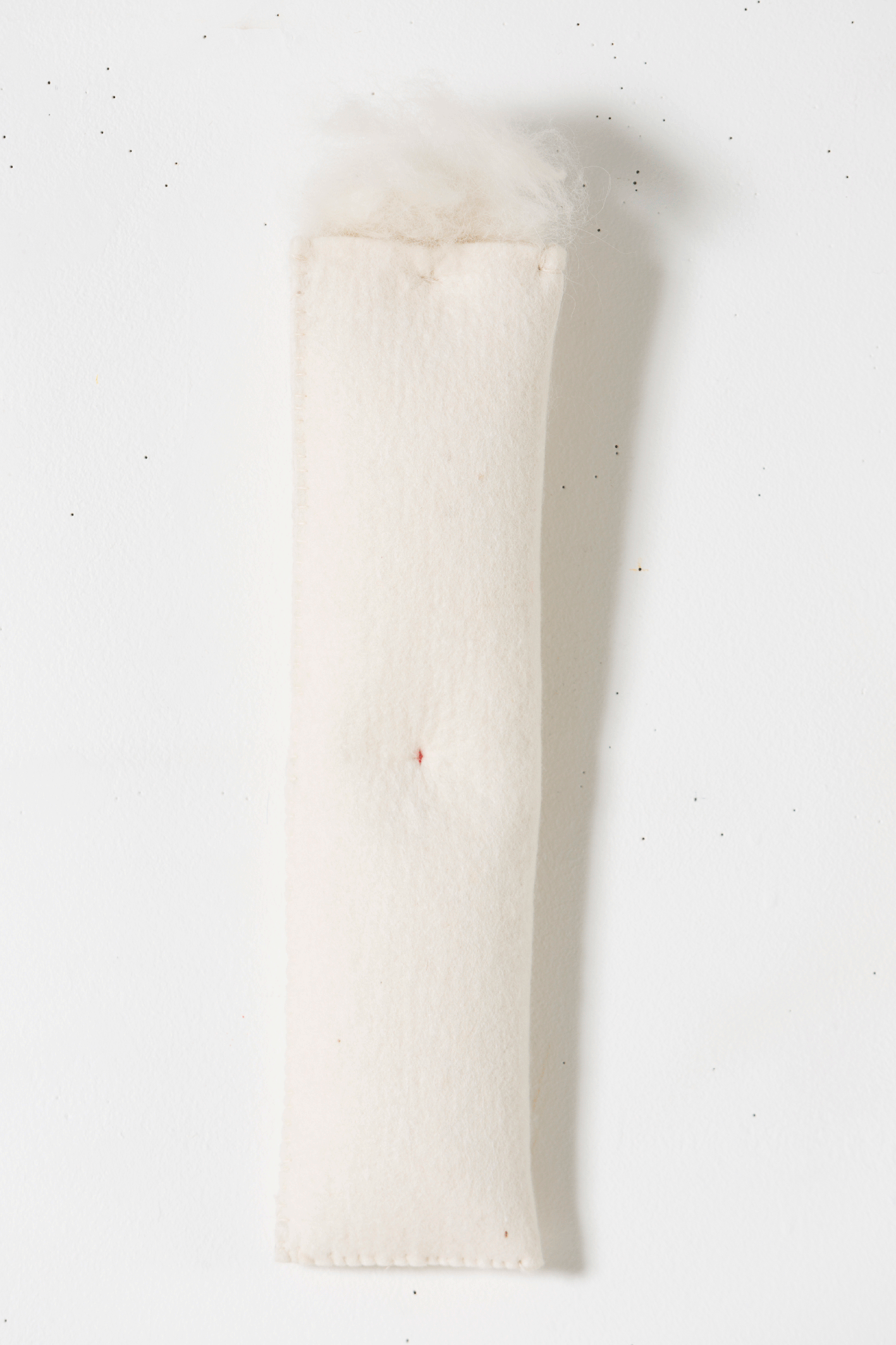 Pouch for Dog Hair