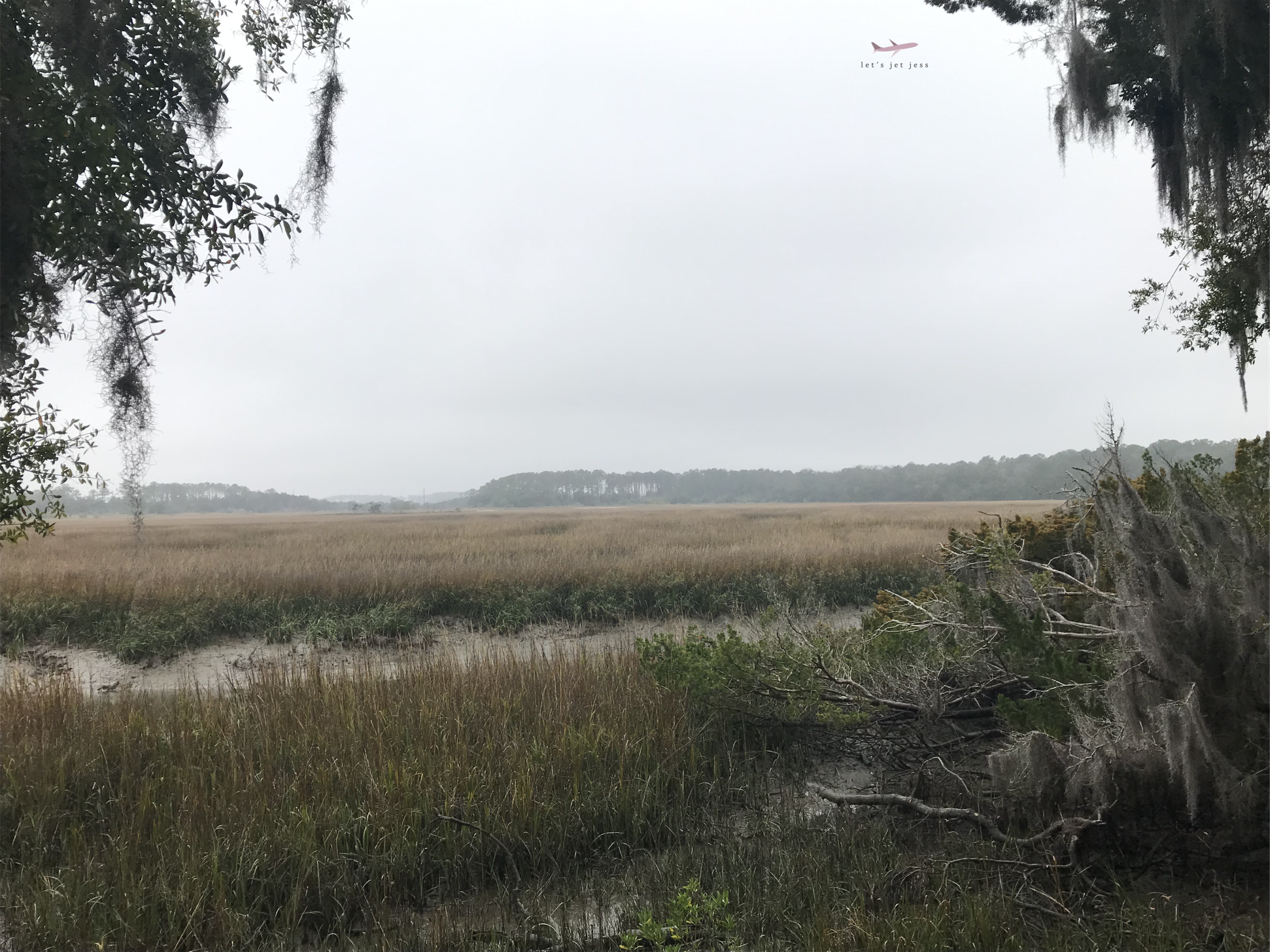 Skidaway River from Wormsloe Historic Park