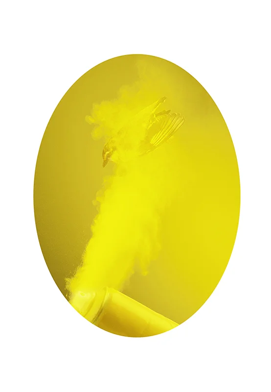 Untitled #4, 2012 Archival inkjet print 80 x 55cm
Normal
0
false
false
false
EN-AU
JA
X-NONE
/* Style Definitions */
table.MsoNormalTable
{mso-style-name:"Table Normal";
mso-tstyle-rowband-size:0;
mso-tstyle-colband-size:0;
mso-style-noshow:yes;
mso-style-priority:99;
mso-style-parent:"";
mso-padding-alt:0cm 5.4pt 0cm 5.4pt;
mso-para-margin-top:0cm;
mso-para-margin-right:0cm;
mso-para-margin-bottom:8.0pt;
mso-para-margin-left:0cm;
line-height:107%;
mso-pagination:widow-orphan;
font-size:11.0pt;
font-family:"Calibri",sans-serif;
mso-ascii-font-family:Calibri;
mso-ascii-theme-font:minor-latin;
mso-hansi-font-family:Calibri;
mso-hansi-theme-font:minor-latin;
mso-fareast-language:EN-US;}