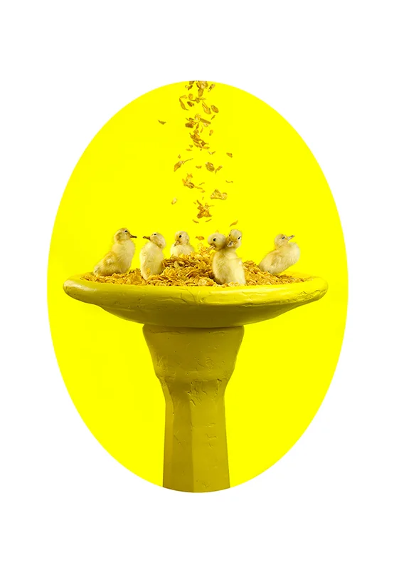 Nature’s golden goodness, 2014 Archival inkjet print 80 x 55cm
Normal
0
false
false
false
EN-AU
JA
X-NONE
/* Style Definitions */
table.MsoNormalTable
{mso-style-name:"Table Normal";
mso-tstyle-rowband-size:0;
mso-tstyle-colband-size:0;
mso-style-noshow:yes;
mso-style-priority:99;
mso-style-parent:"";
mso-padding-alt:0cm 5.4pt 0cm 5.4pt;
mso-para-margin-top:0cm;
mso-para-margin-right:0cm;
mso-para-margin-bottom:8.0pt;
mso-para-margin-left:0cm;
line-height:107%;
mso-pagination:widow-orphan;
font-size:11.0pt;
font-family:"Calibri",sans-serif;
mso-ascii-font-family:Calibri;
mso-ascii-theme-font:minor-latin;
mso-hansi-font-family:Calibri;
mso-hansi-theme-font:minor-latin;
mso-fareast-language:EN-US;}