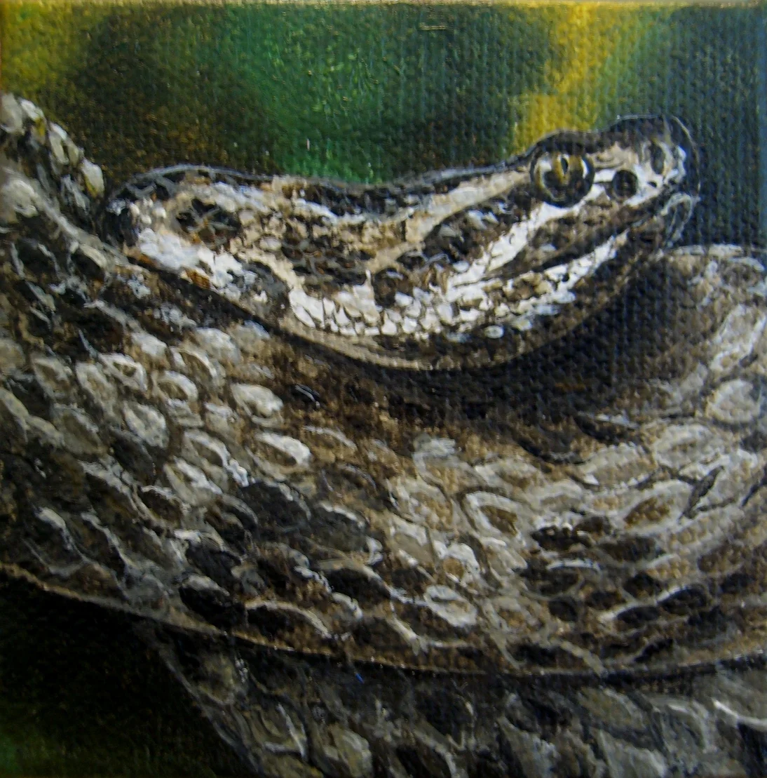 "Massasauga Rattlesnake"