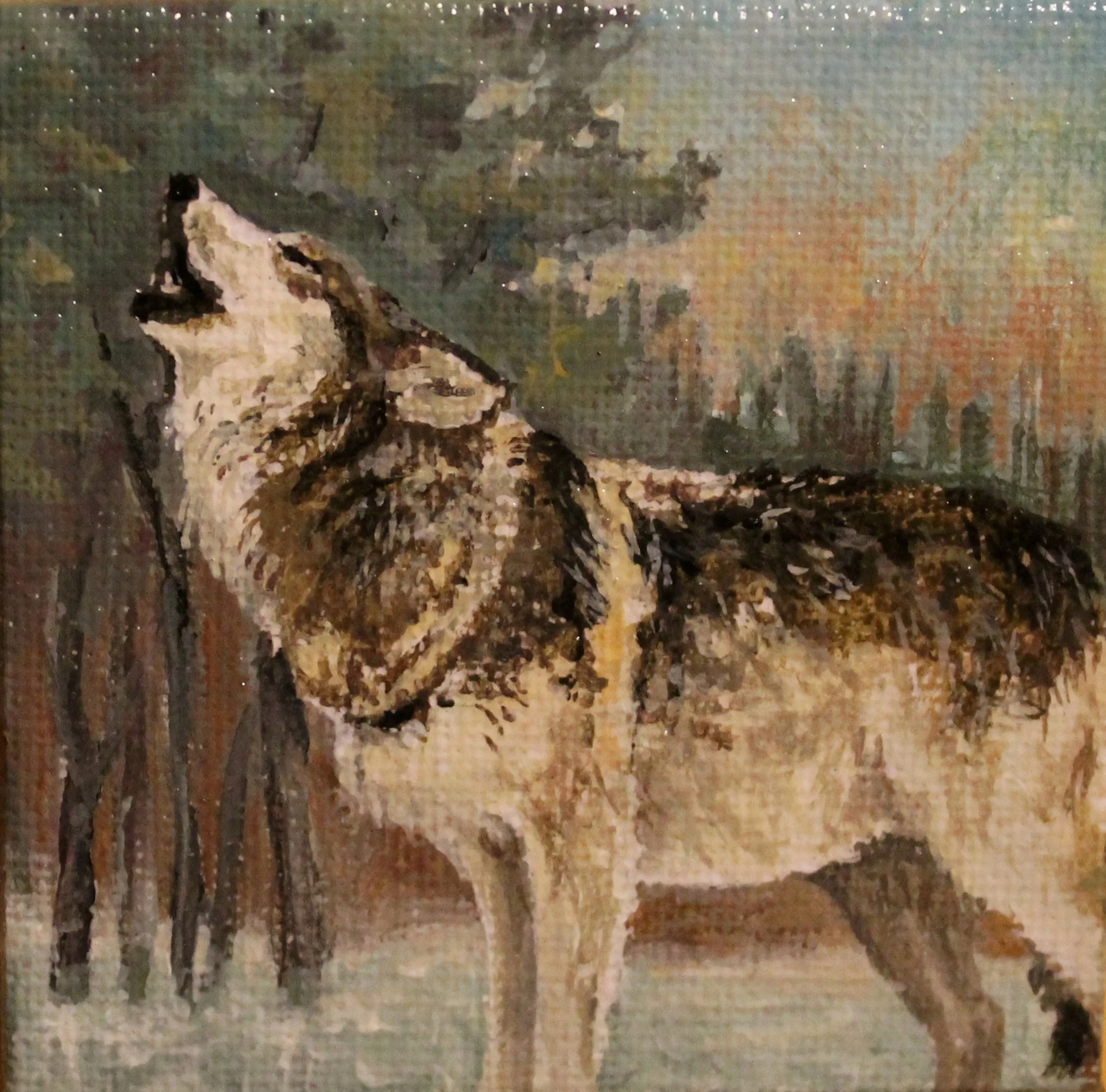 "Michigan Gray Wolf Howling"