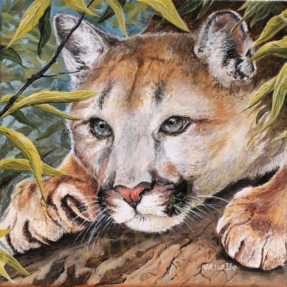 "Michigan Puma"