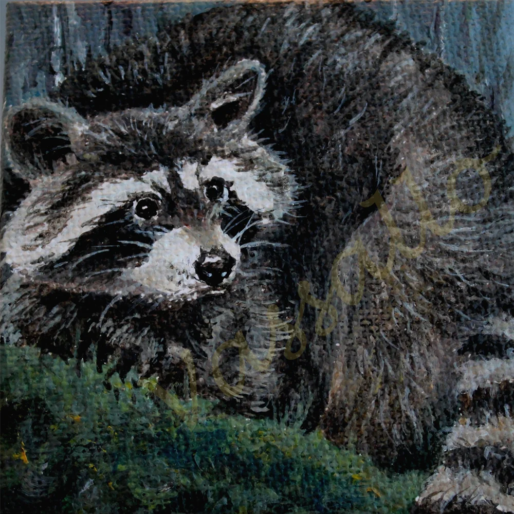 "Racoon"