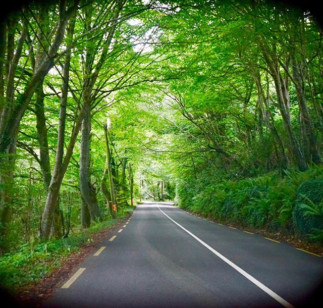 Driving in Ireland. sept2016. 😊🎨🖌🇮🇪. #happyplace #travelphotograpy #sony #roadlesstraveled #lifeisart #traveltuesday