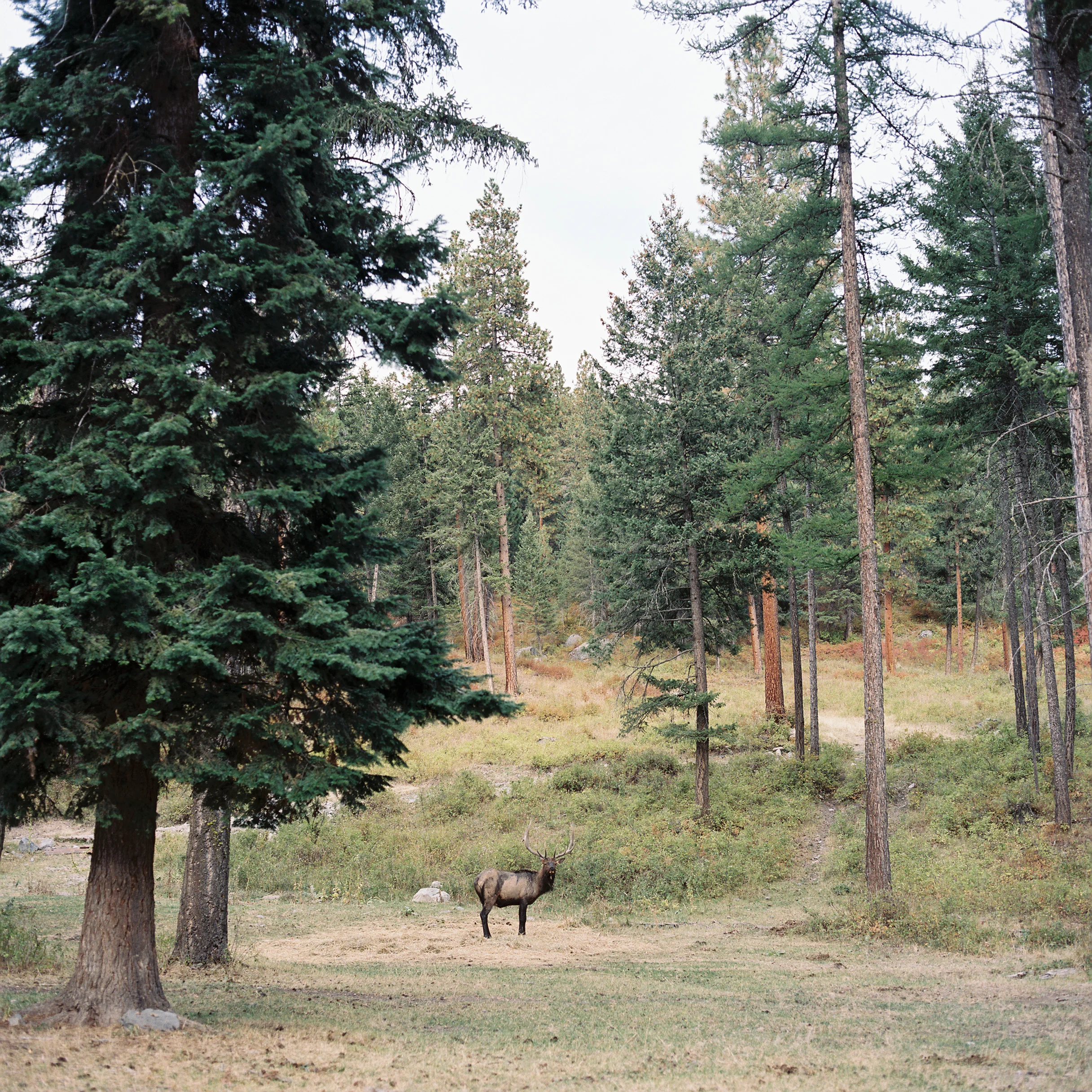 007002-R1-001.jpg