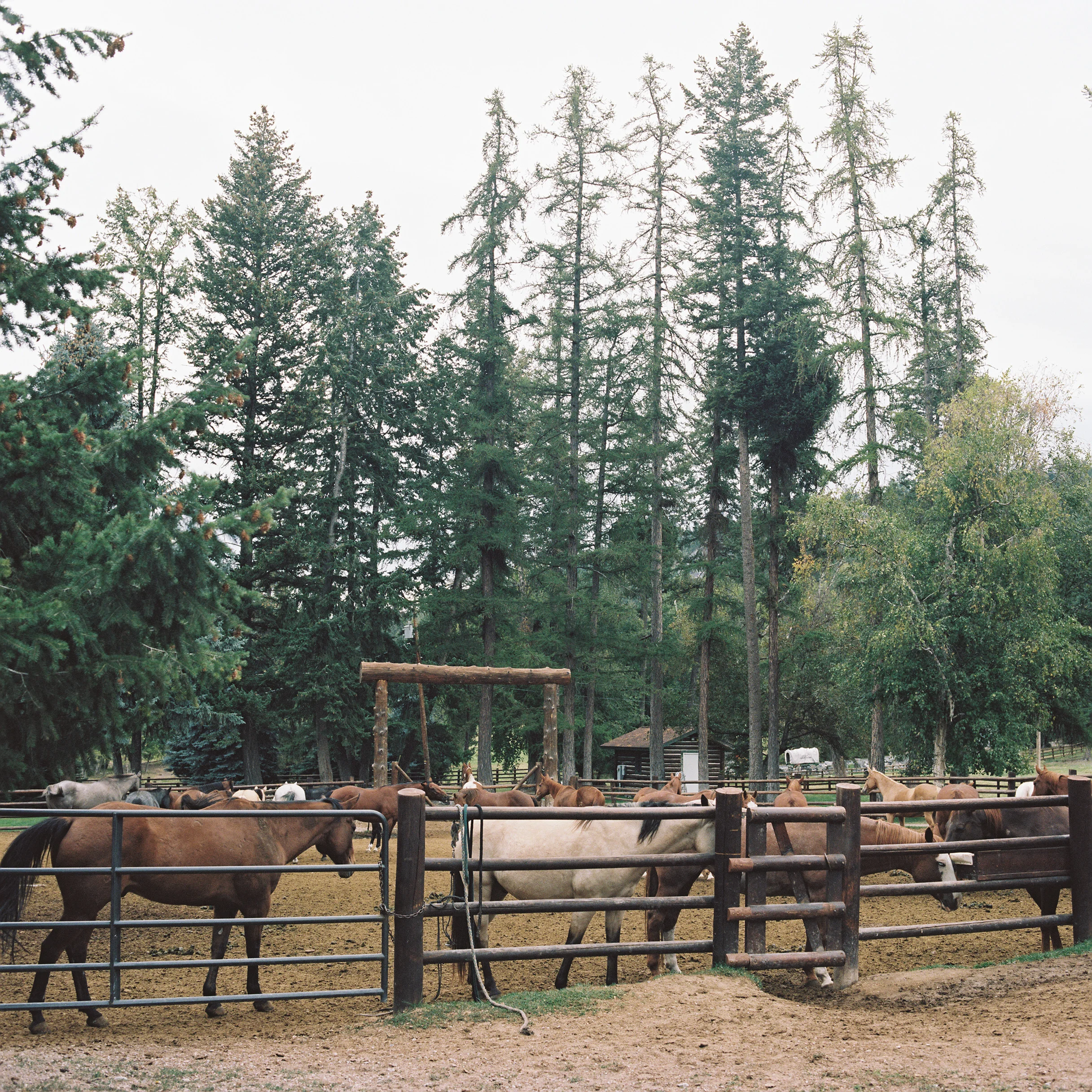 007003-R2-003.jpg