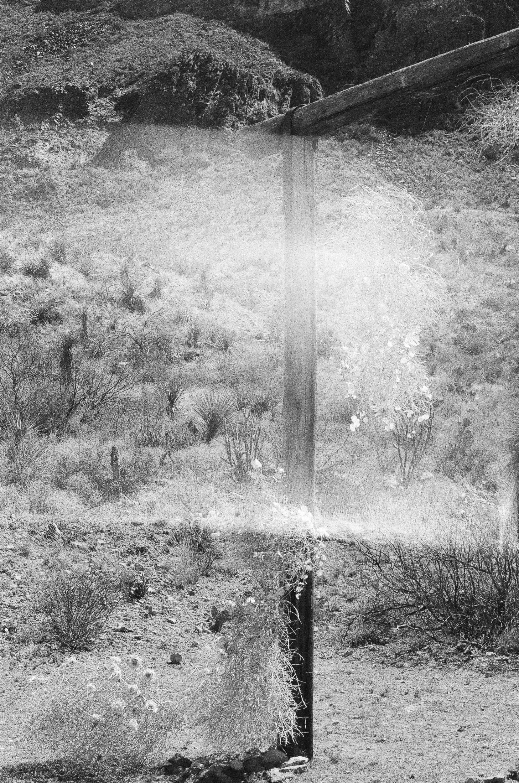 Texas (9 of 18).jpg