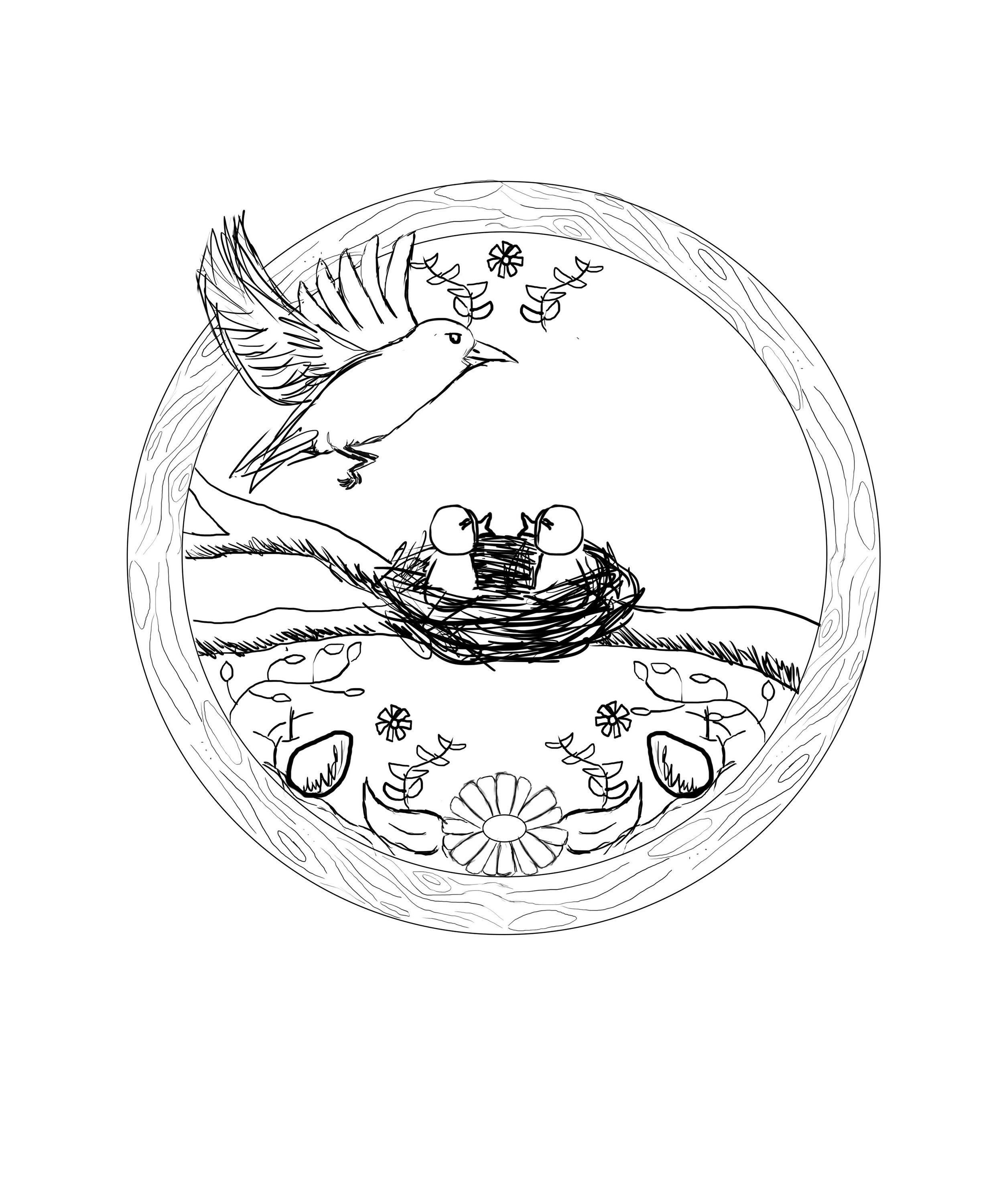 pro_2_bird.jpg