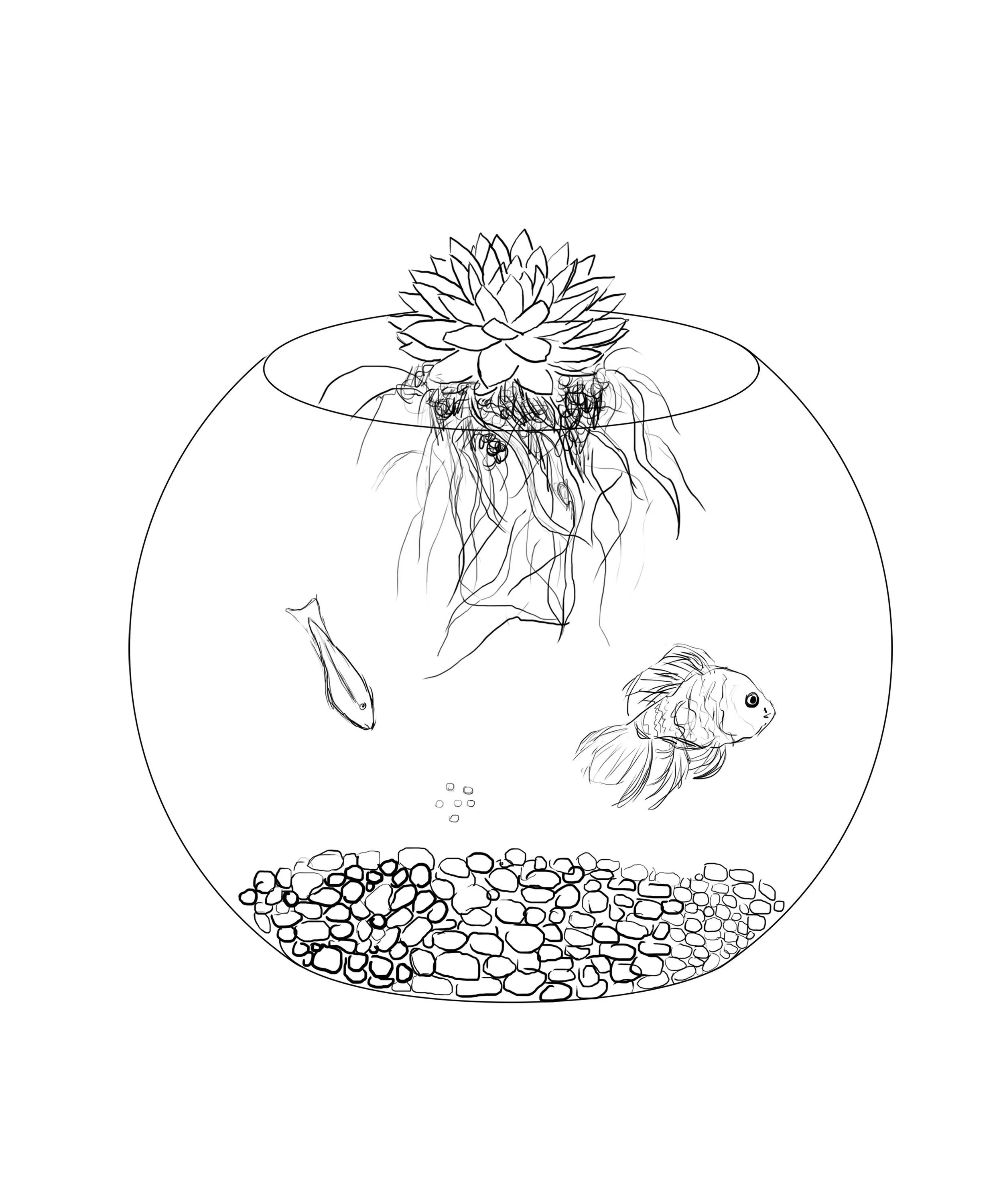 pro_2_fish.jpg