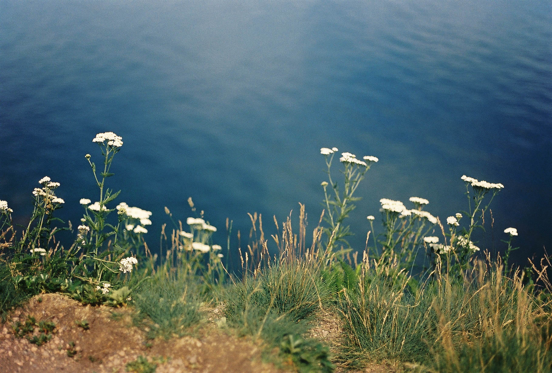 film-11.jpg