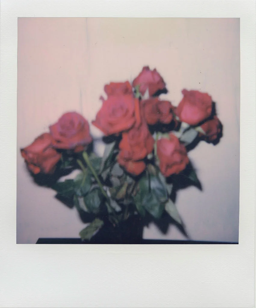 ROSE-POLAROID.jpg