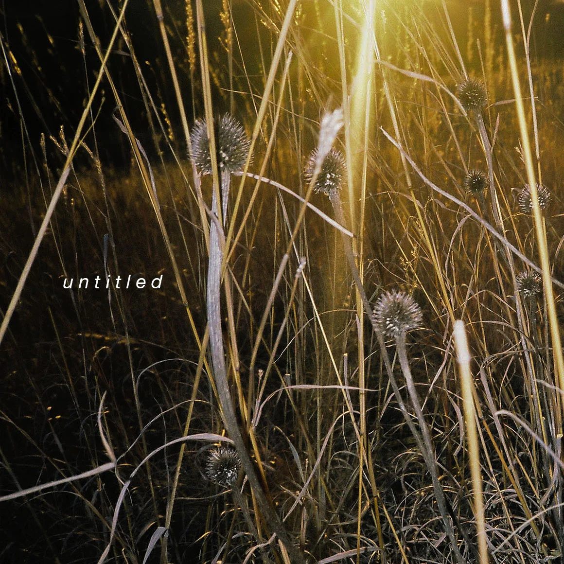 Untitled, Dane Christopher