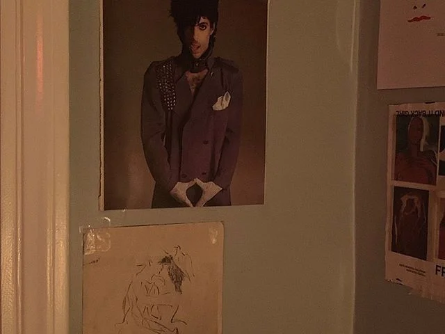 even doves have pride