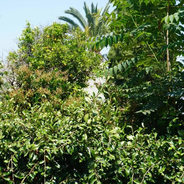 LOVE ME NOW by Michael Paik - Personal License