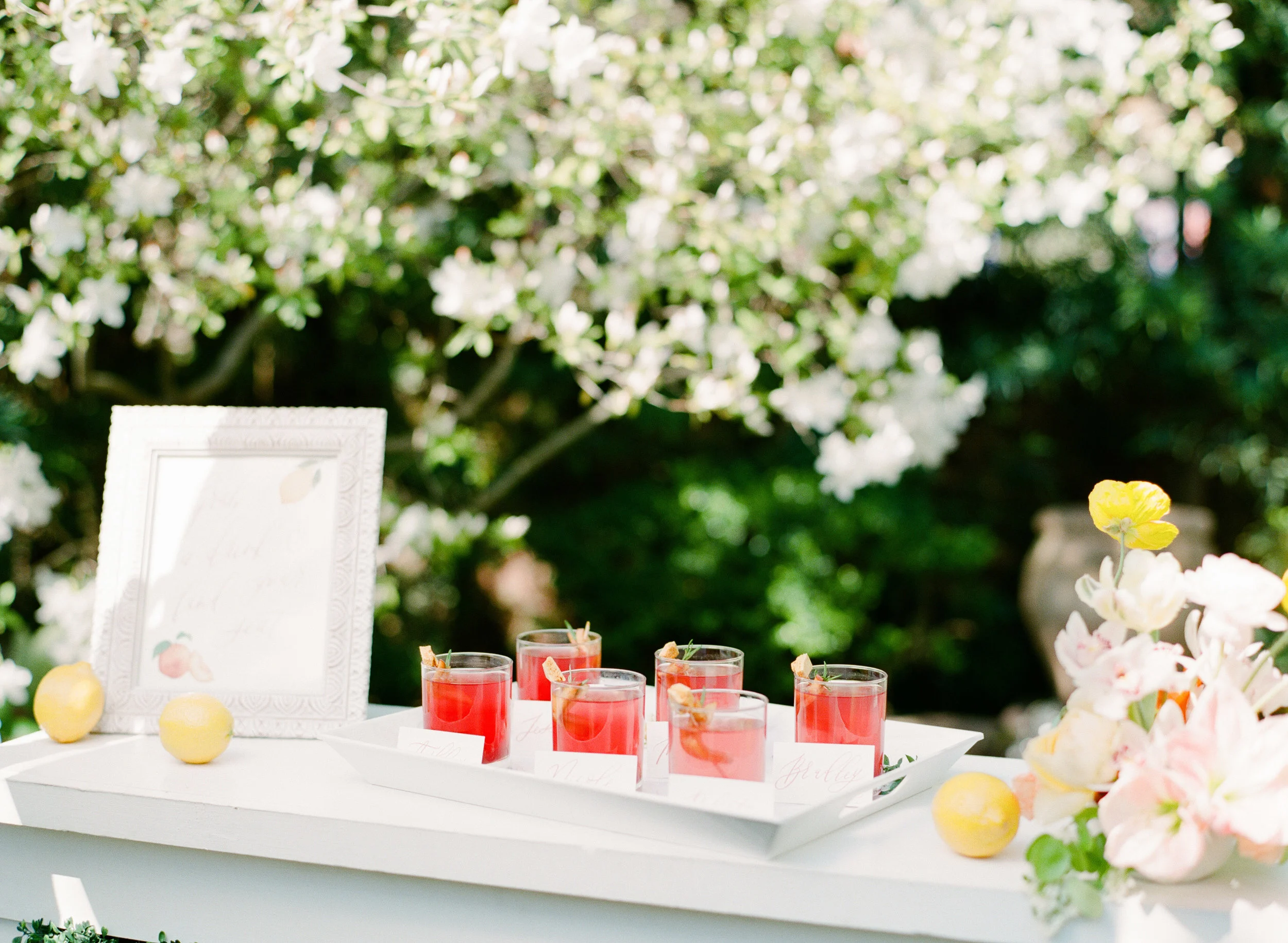 TheHappyBloom-210.jpg