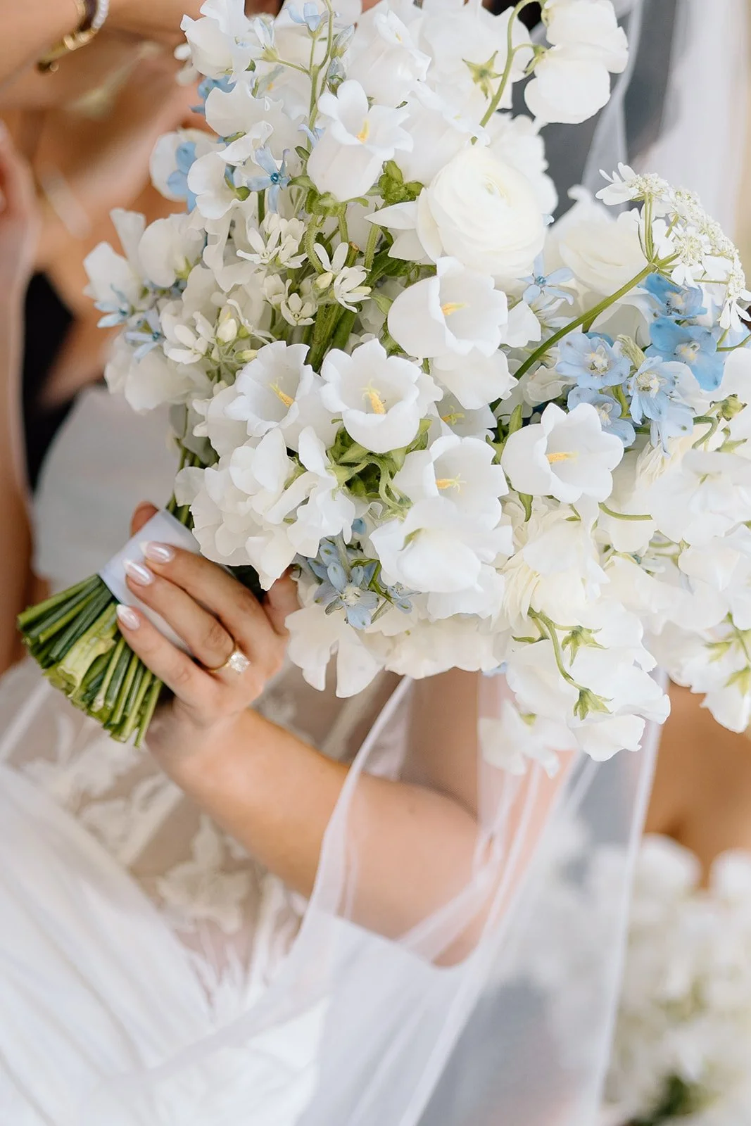 Month Of Coordination Raleigh Durham Chapel Hill 06.jpg