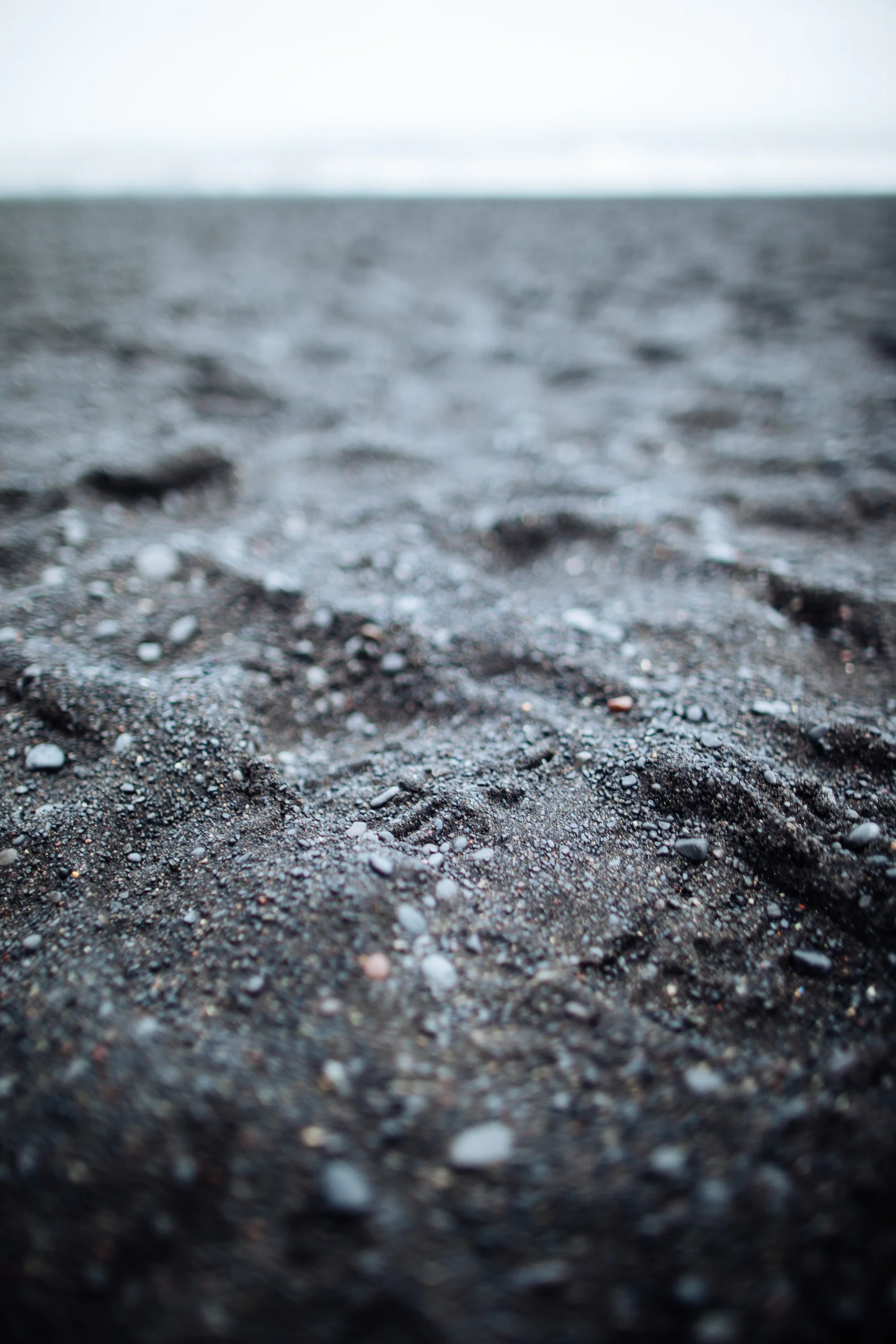 20150908-1045.jpg