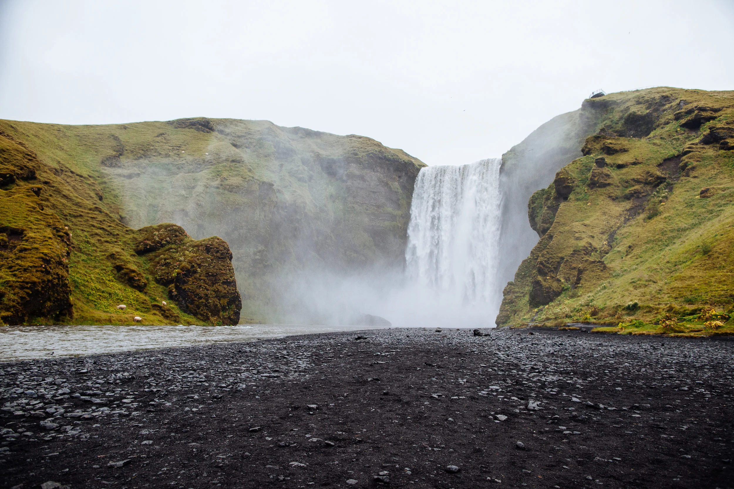 20150908-1159.jpg