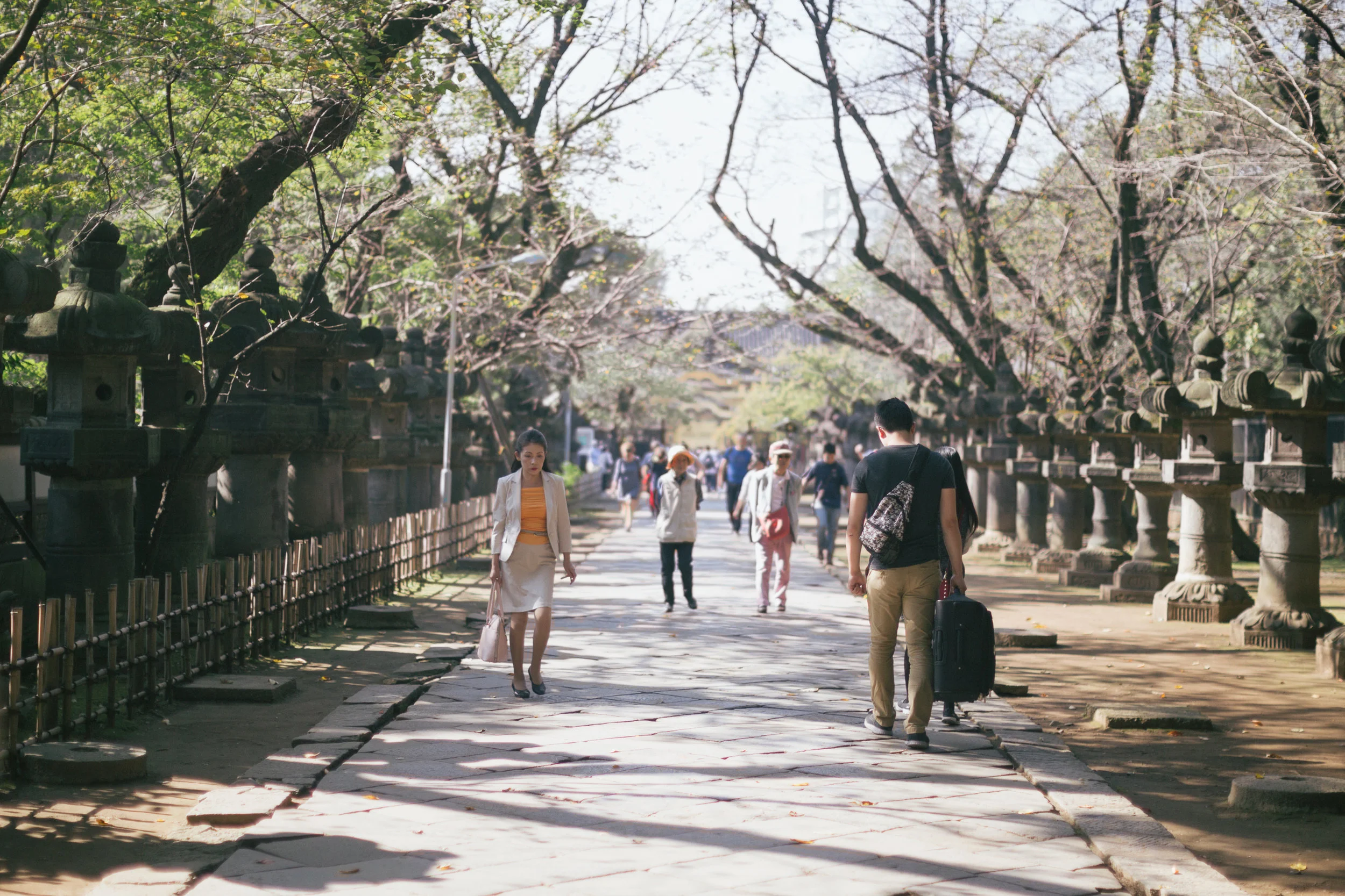 One of the paths inside Ueno park that lead to the Ueno Toshogu Shinto Shrine. The JR Ueno station adjacent to the park is another major hub for transportation and so it's not uncommon to see people carrying their suitcases around the park. 