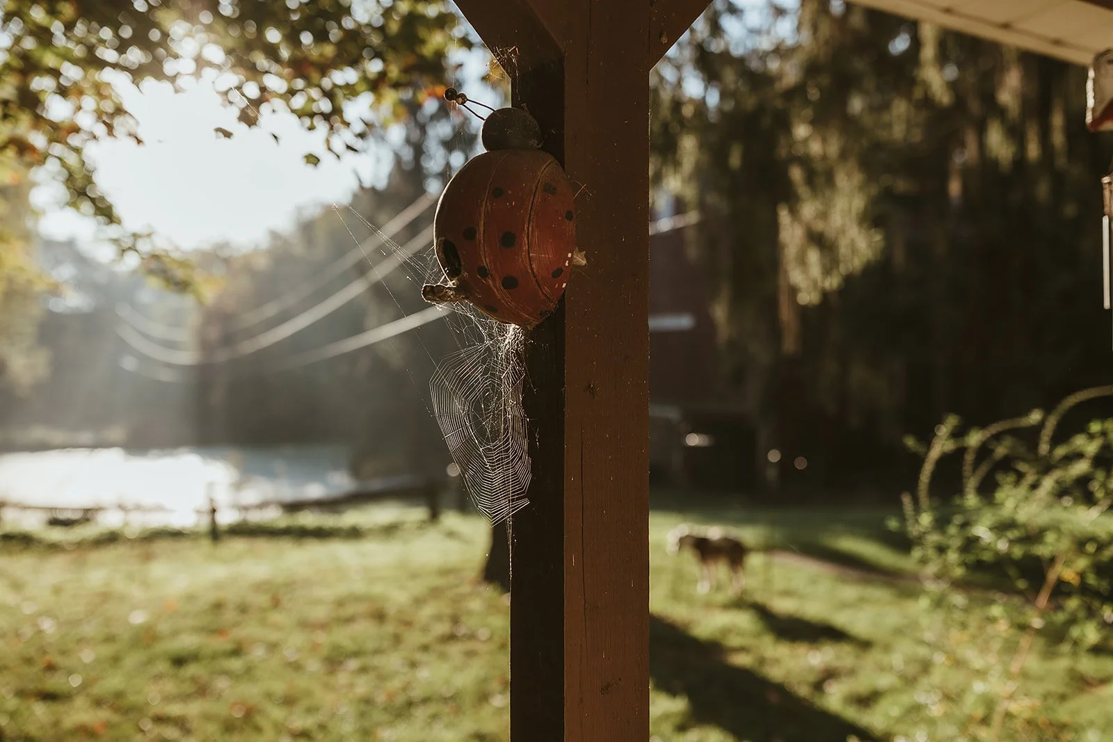 SpringhollowFarm (14 of 387)_websize.jpg