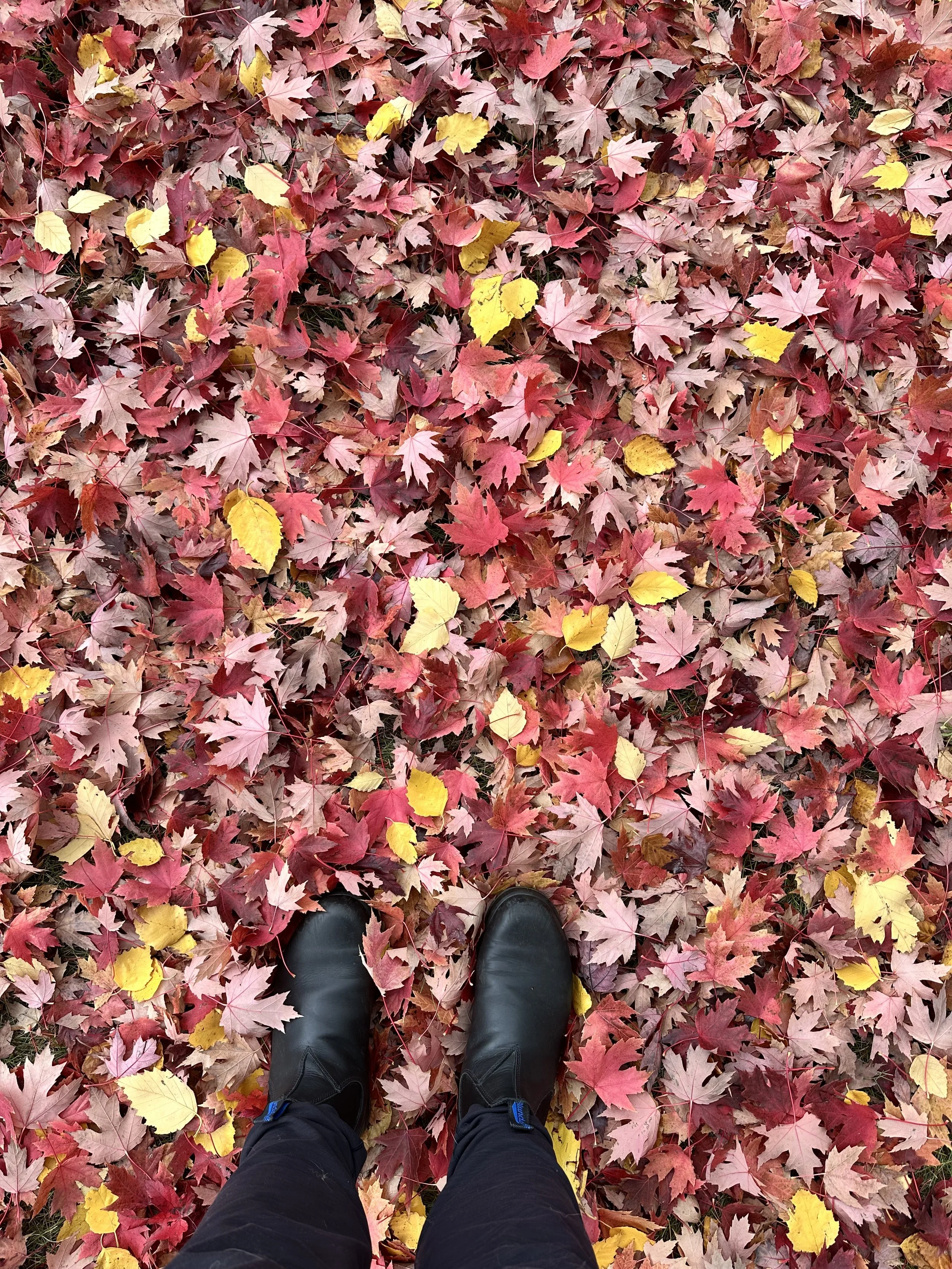 Why Businesses Work With Me: Content Strategy, Writing, and Marketing