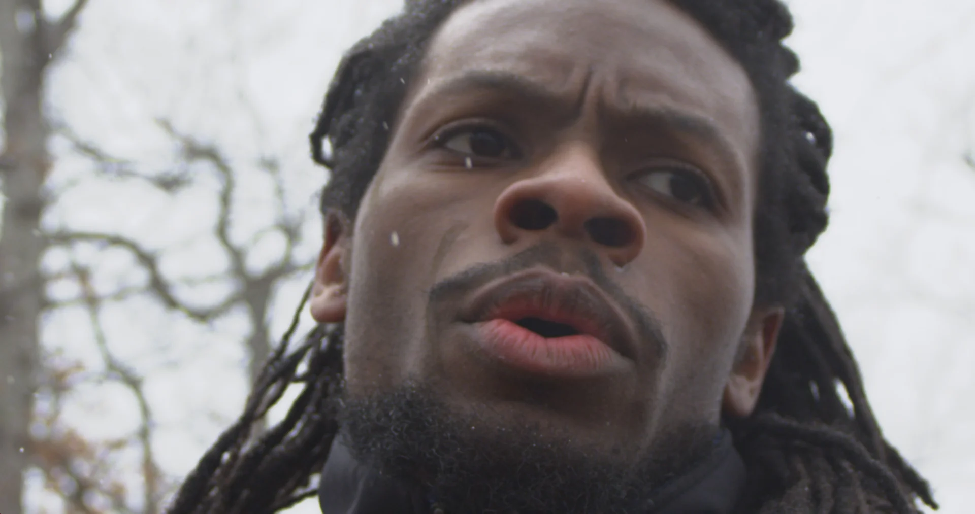 CG v1 1920.00_00_33_00.Still009.jpg