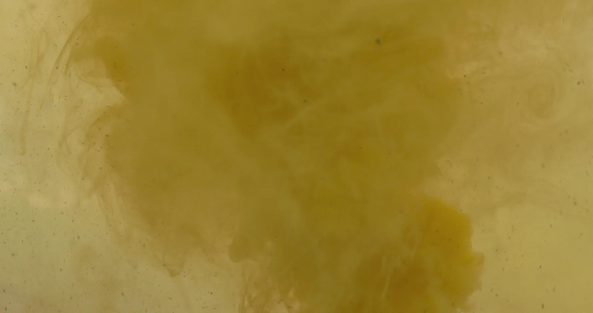 CG v1 1920.00_03_03_19.Still032.jpg