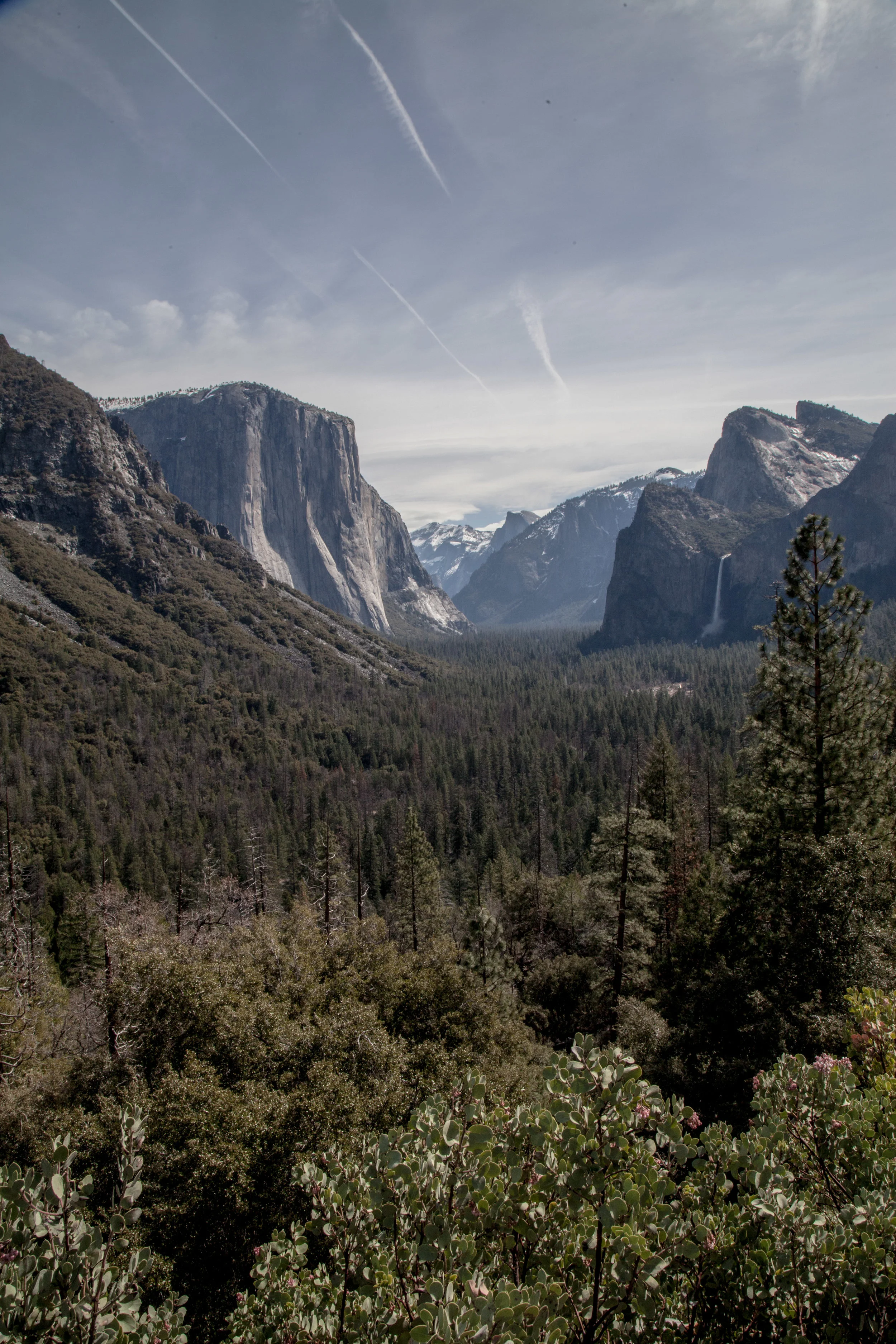 Yosemite1136-1039.jpg