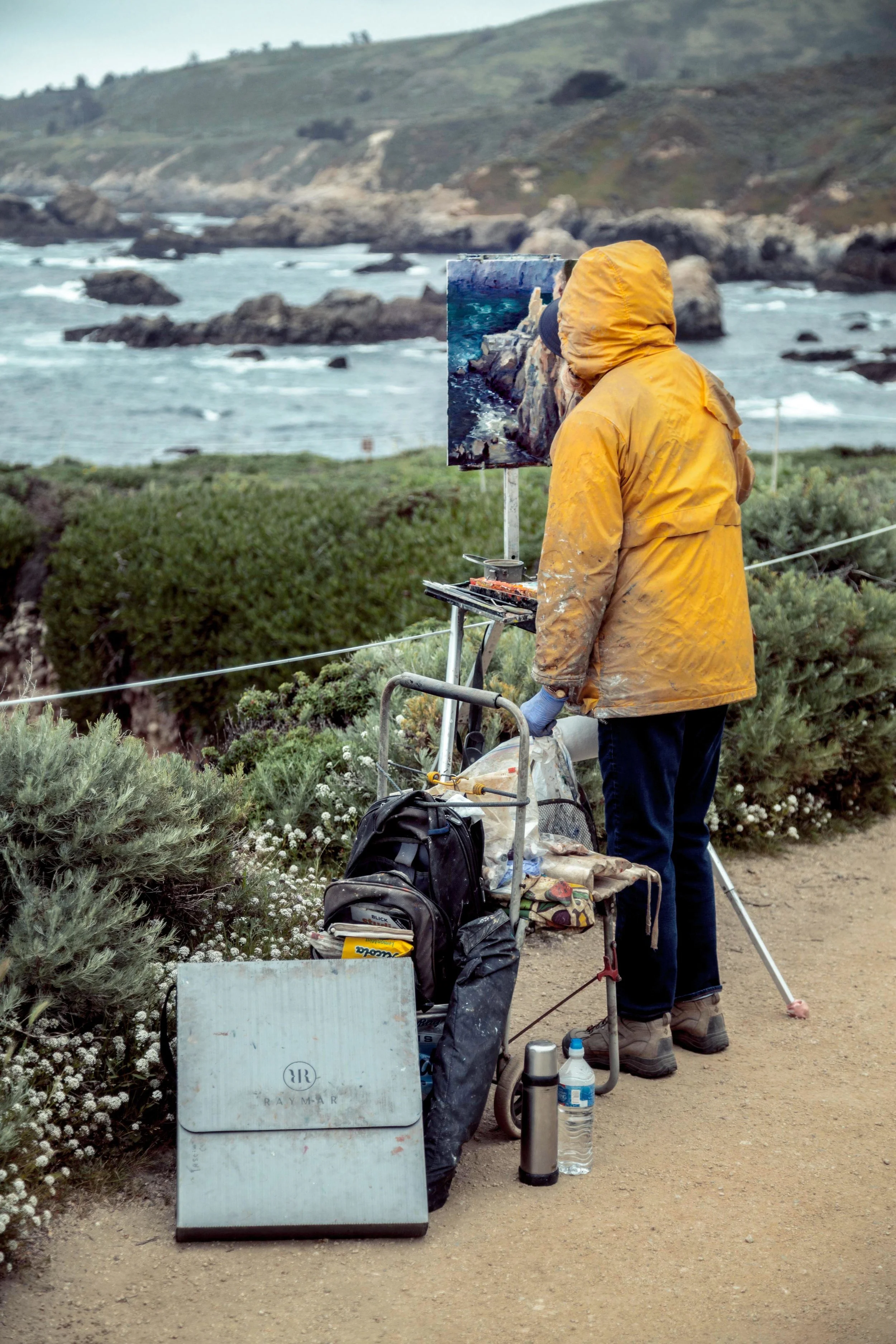 Big Sur0144.jpg