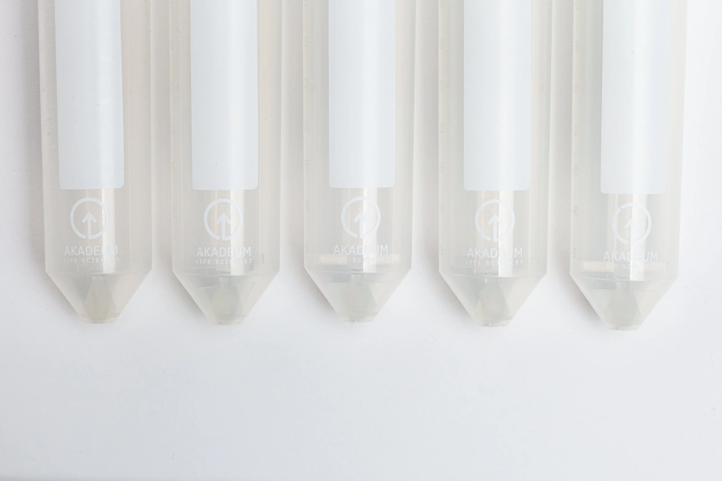 Akadeum Photos 20220929-010.jpg