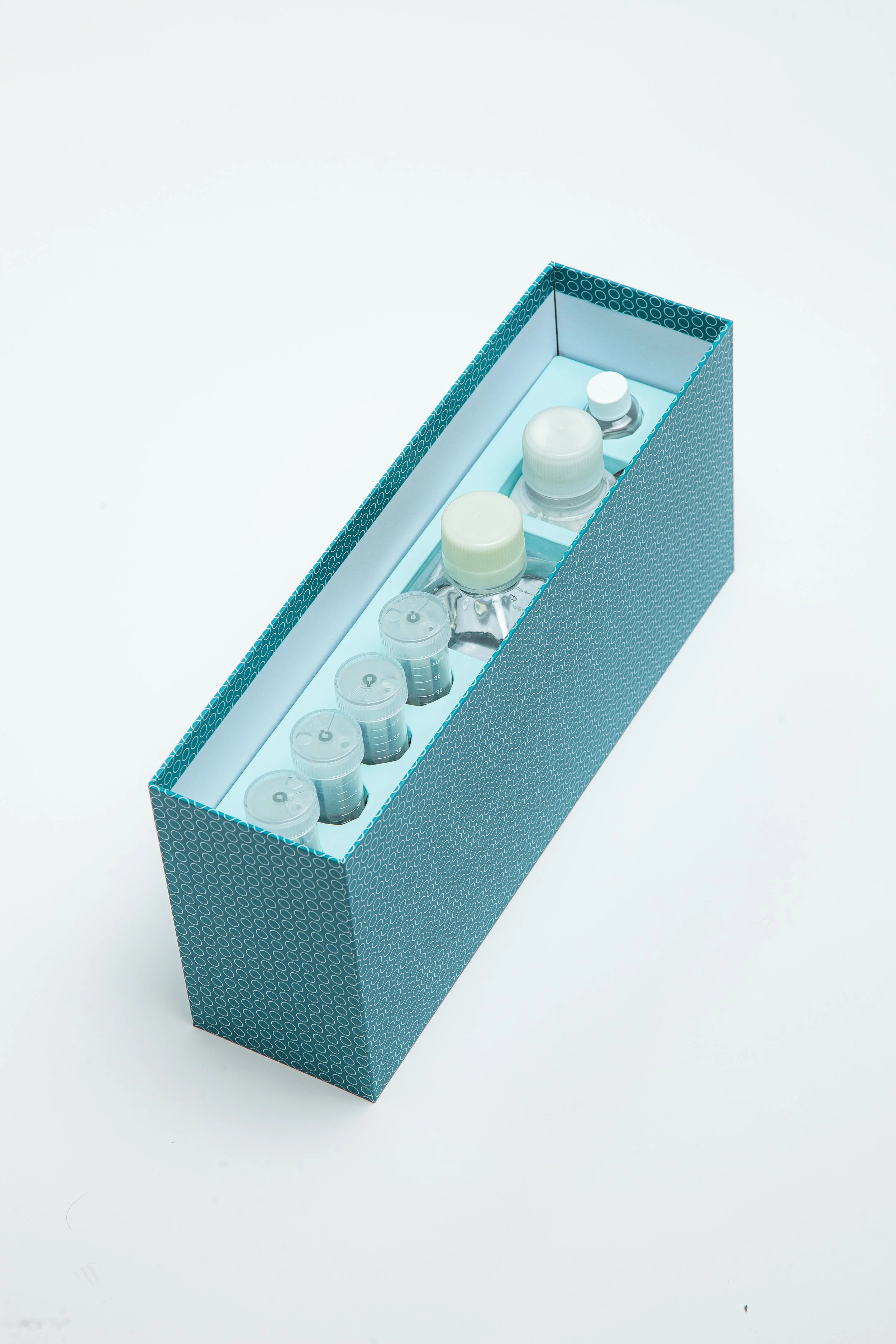 Akadeum Photos 20220929-015.jpg