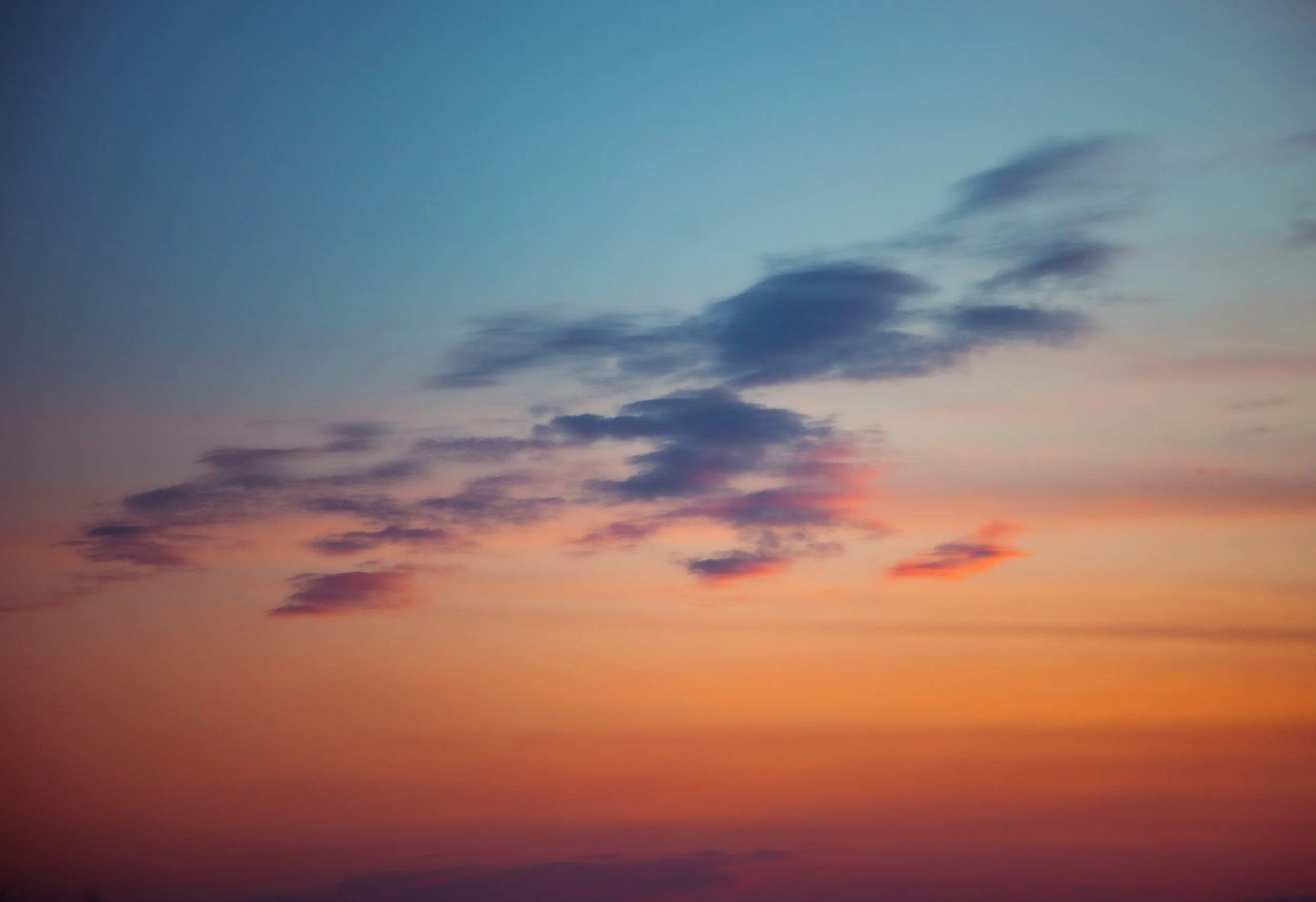 Joseph & Nina Eshaki Maternity Photos.jpg