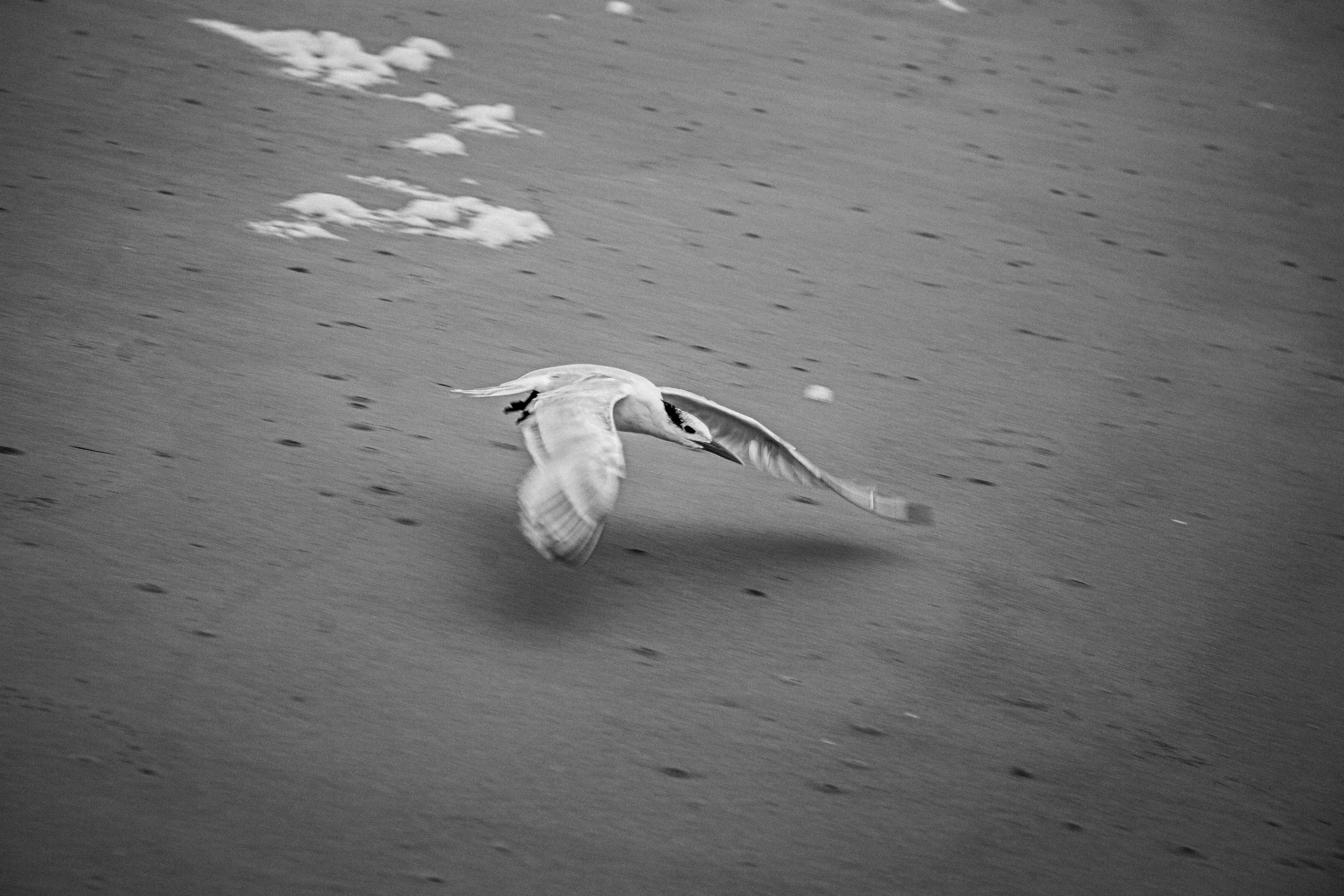 Avalanche Lake - Glacier National Park Montana-3.jpg
