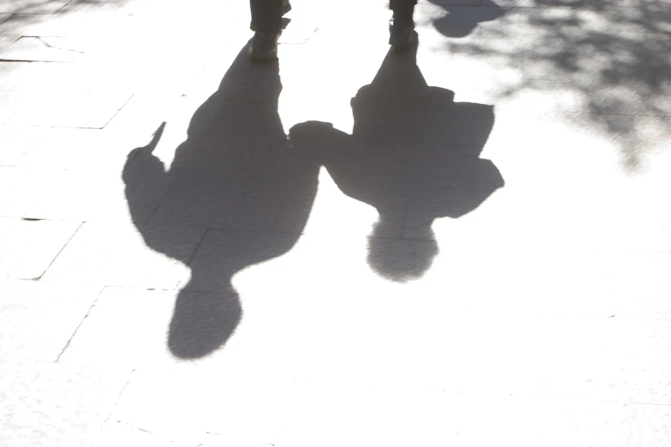 CRW_2333.jpg