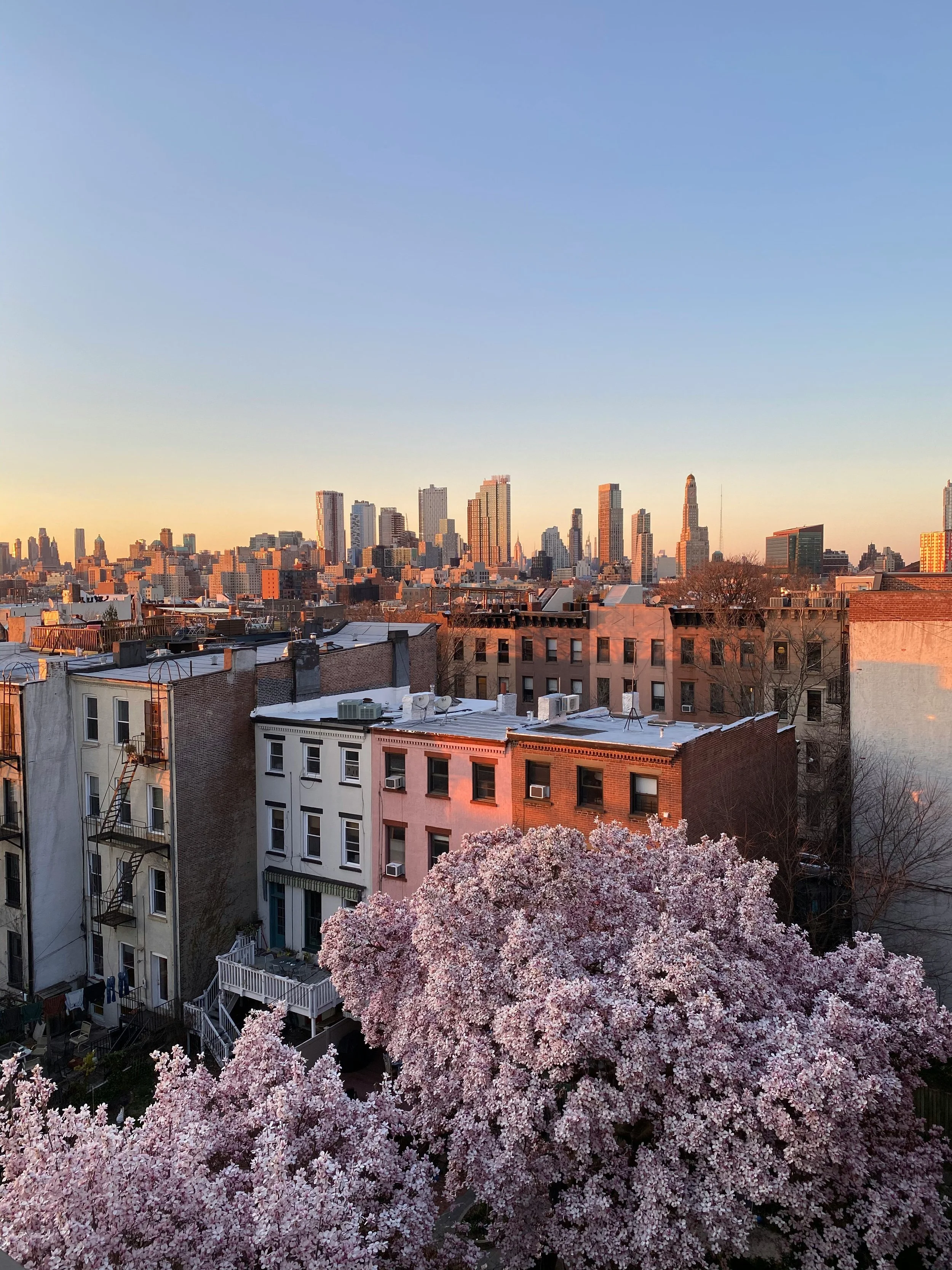 Brooklyn and Manhattan skyline view illustrating the wealth management process at Schroeder Capital Management