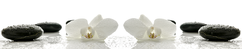 AdobeStock_49248021.png