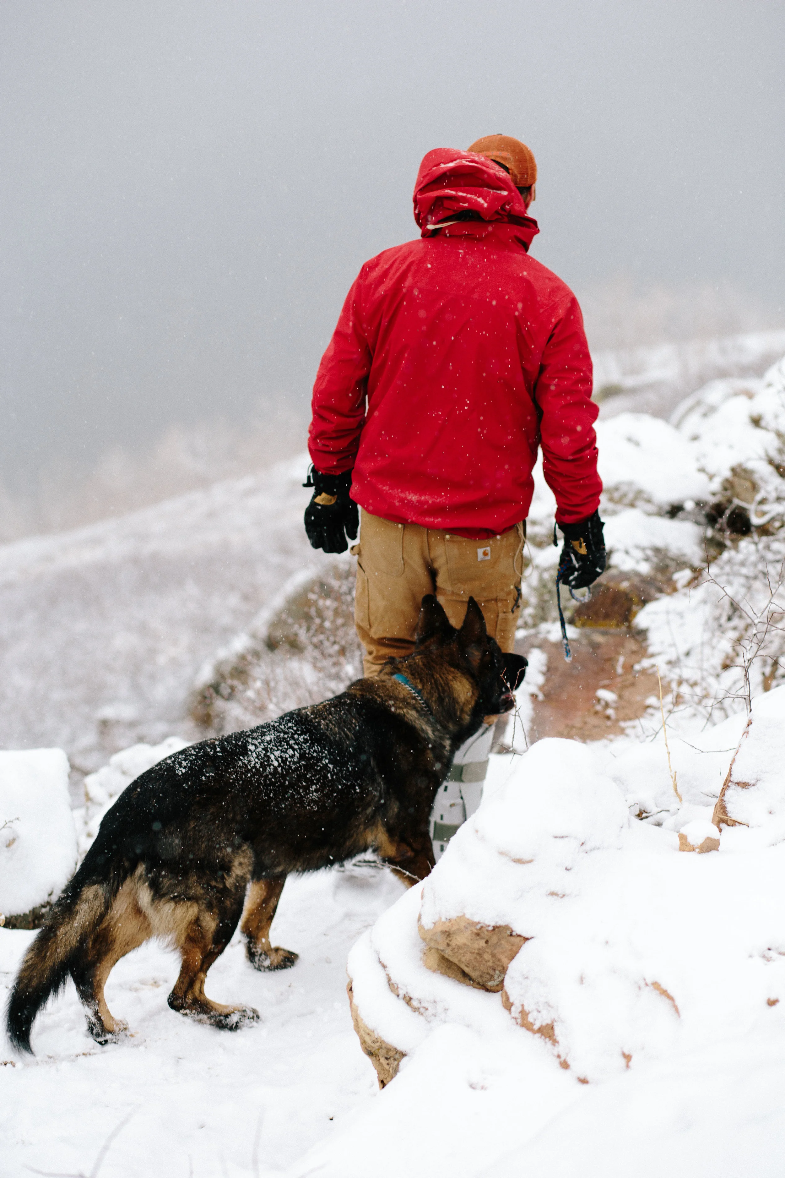 pupsinsnow012417-134.jpg