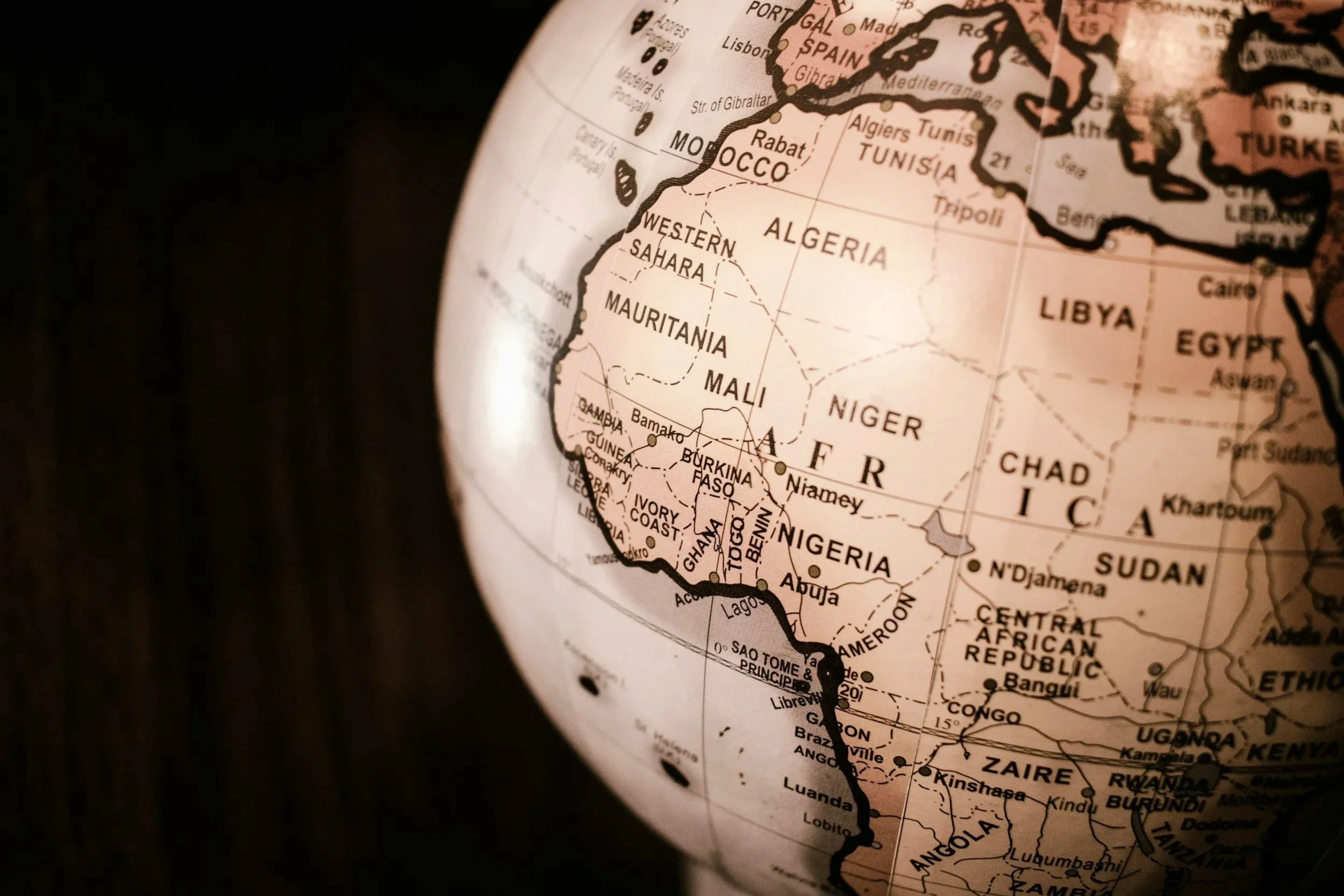 Launch of the ARC African Diaspora Impact  Project