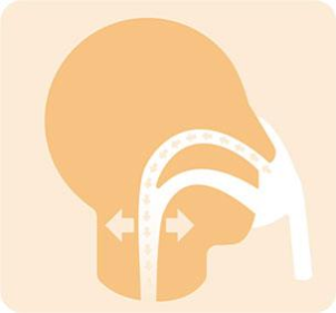 A constant flow of airway pressure to your throat ensures that your airway stays open during sleep