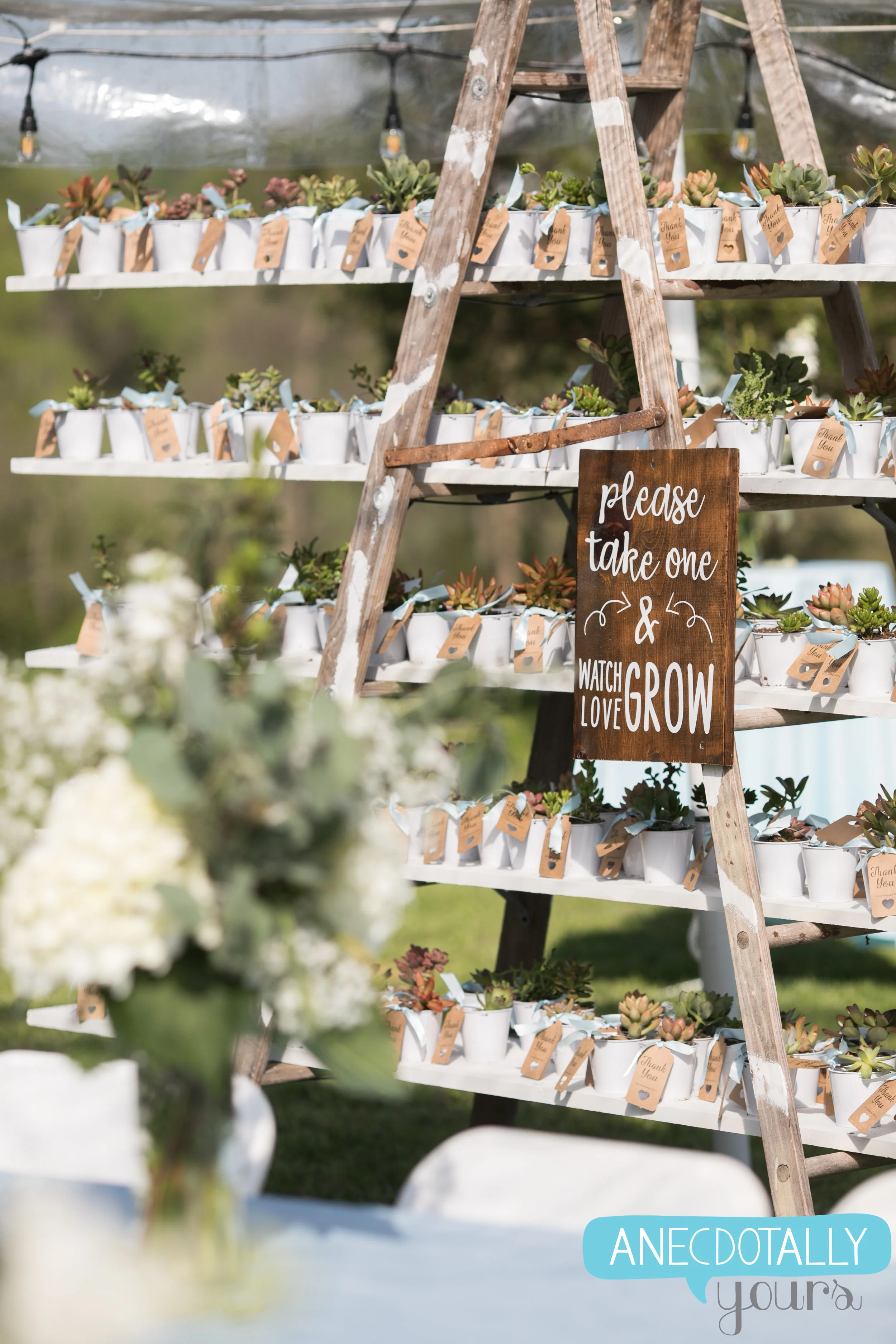 jamie-calvin-wedding-43.jpg