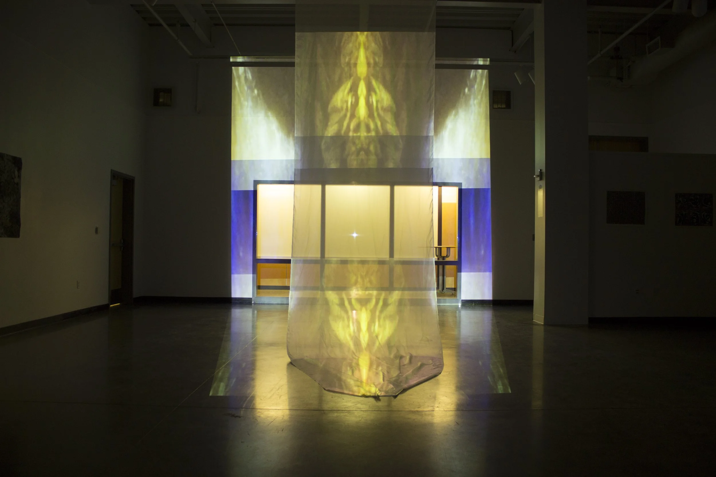 Marsh video installation still473.JPG