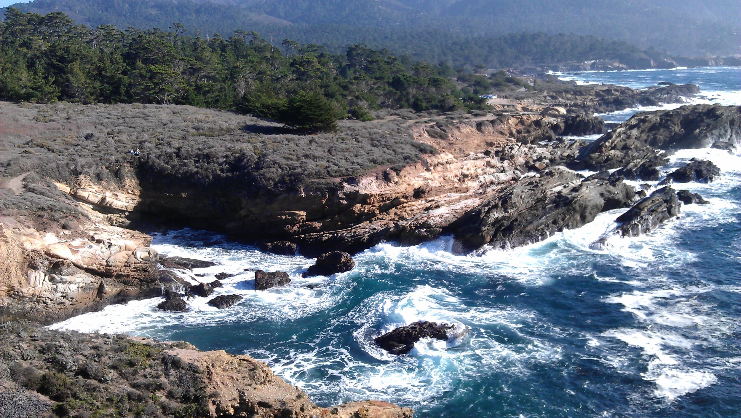 Point Lobos State Natural Reserve