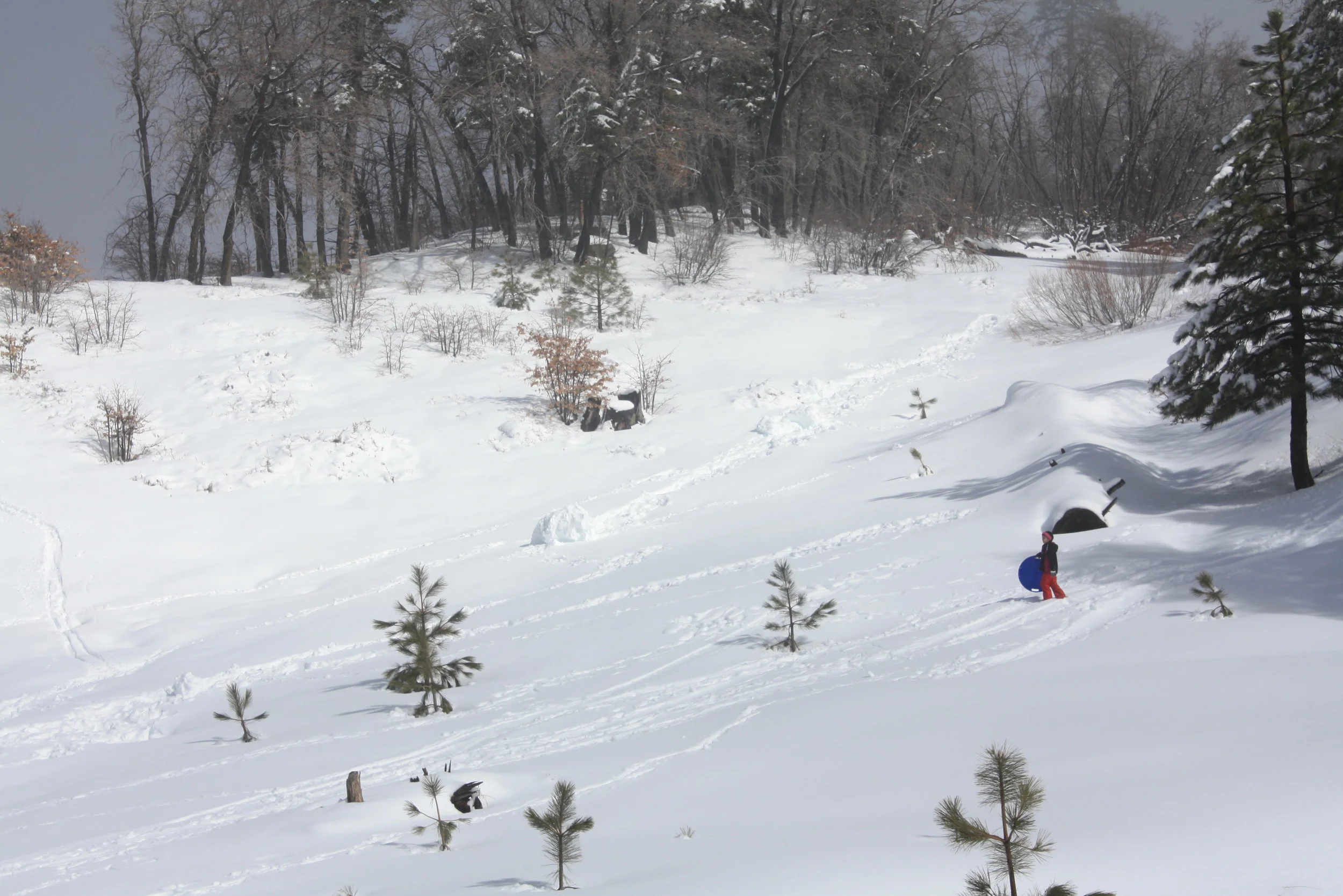 Big Bear Sledding - Best Free Sledding in Big Bear (Snow Play)