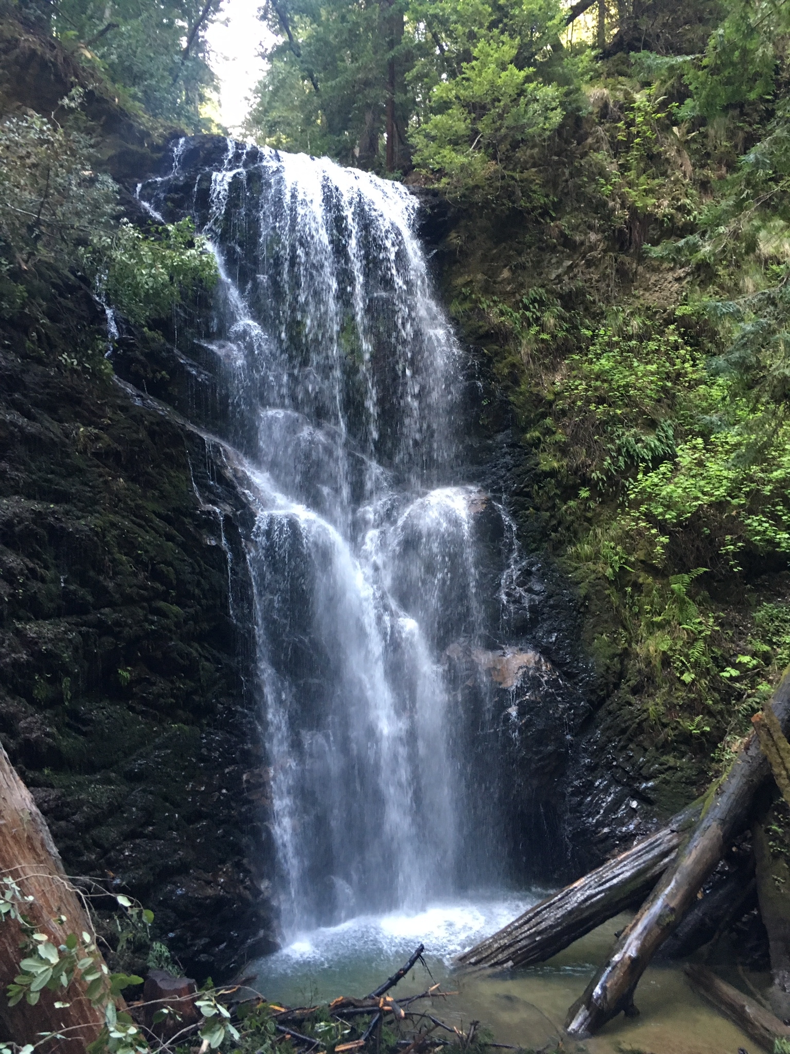 Big Basin Redwoods State Park