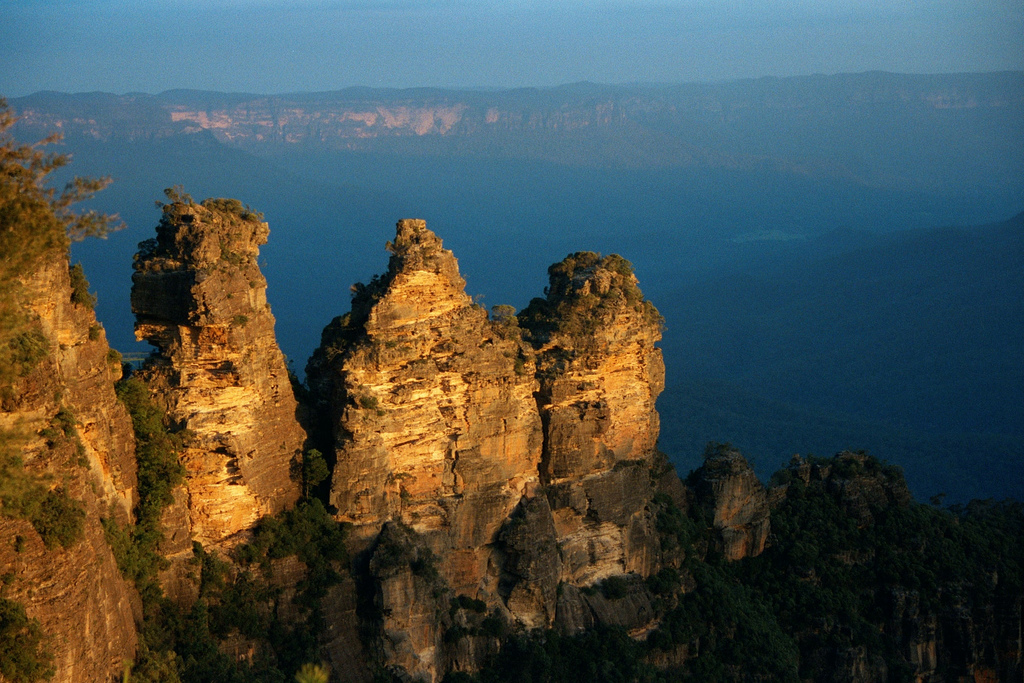 blue mountain tour guide